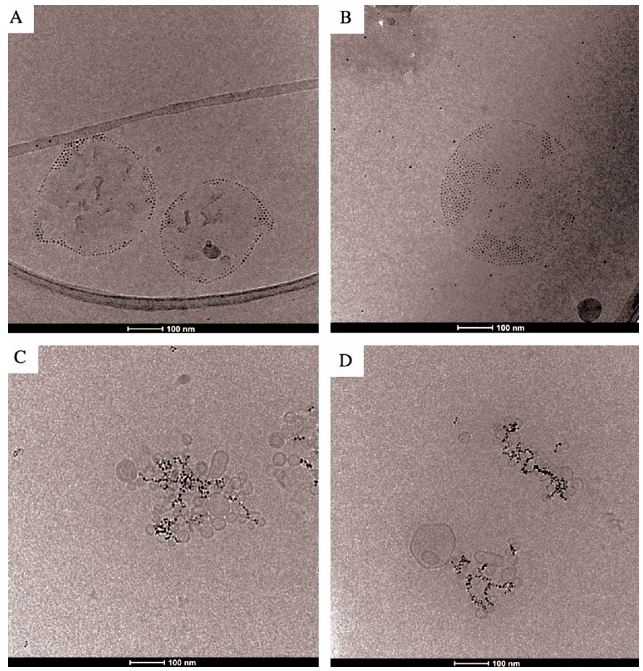 Ijms 17 01209 g003 1024