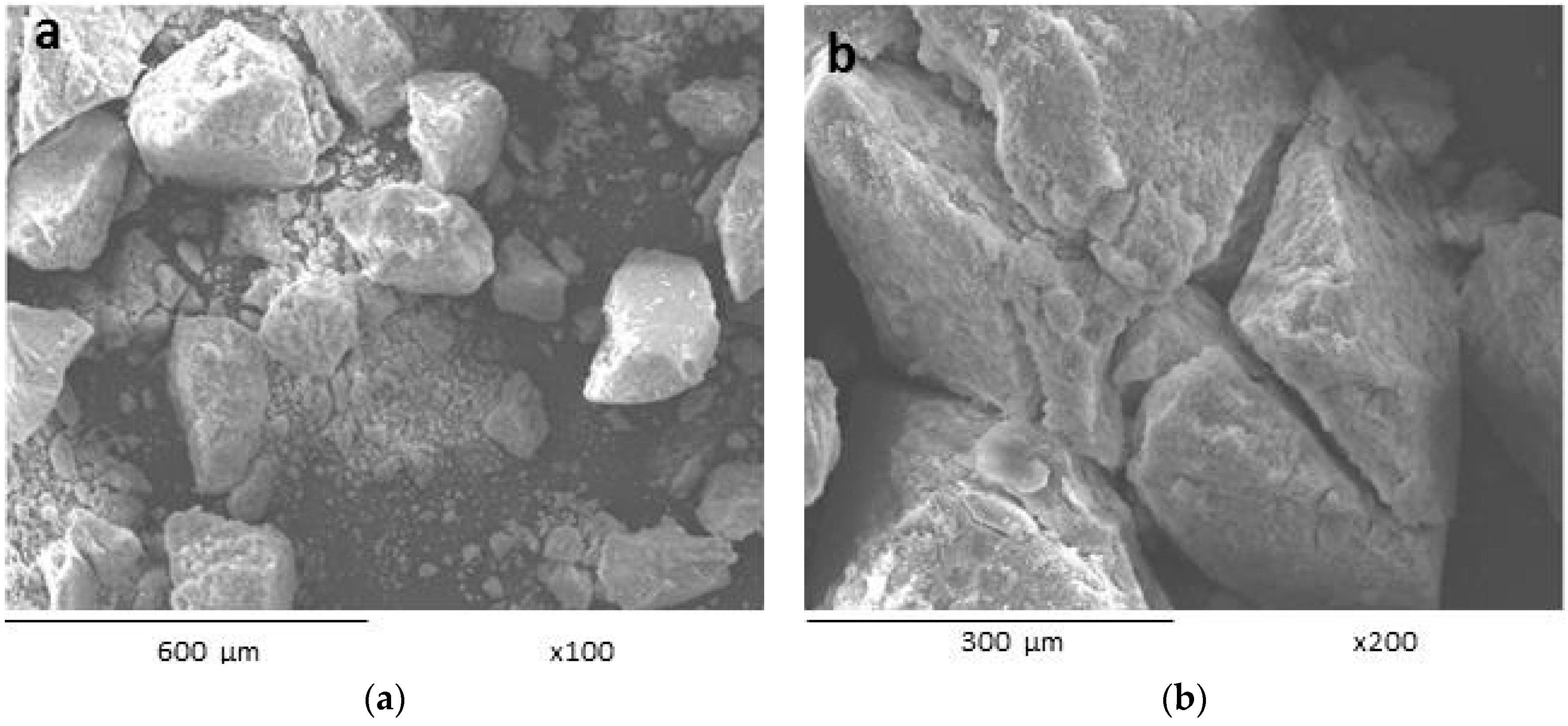 Ijms 17 01238 g001 1024