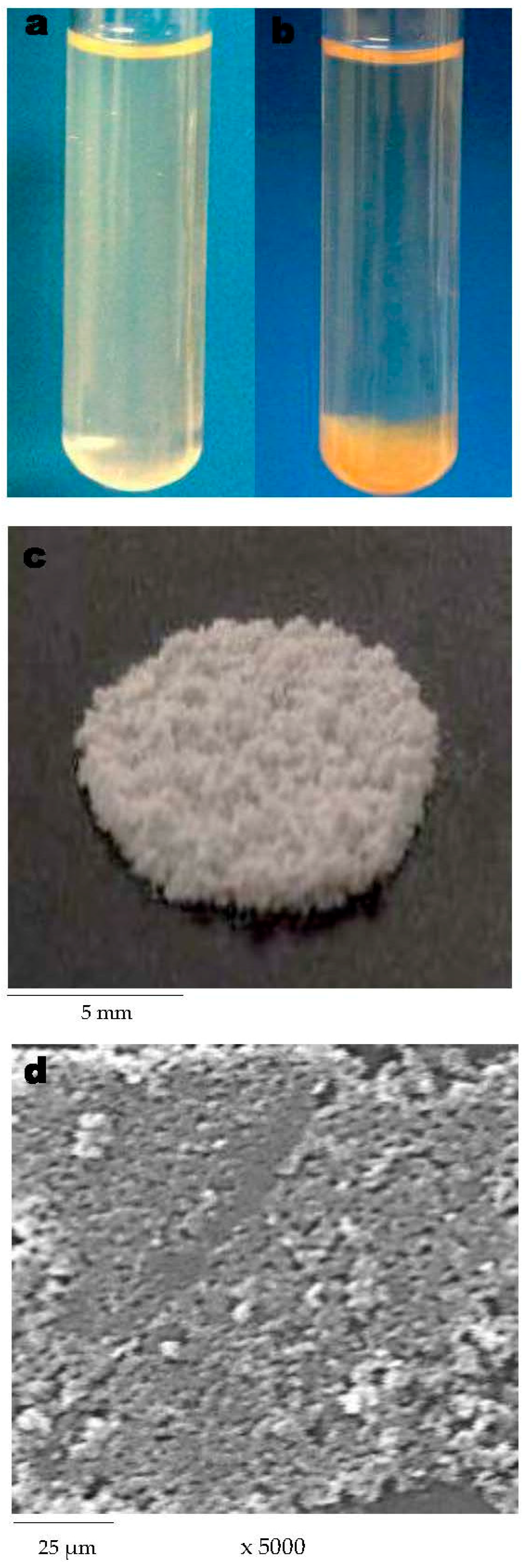 Ijms 17 01238 g006 1024