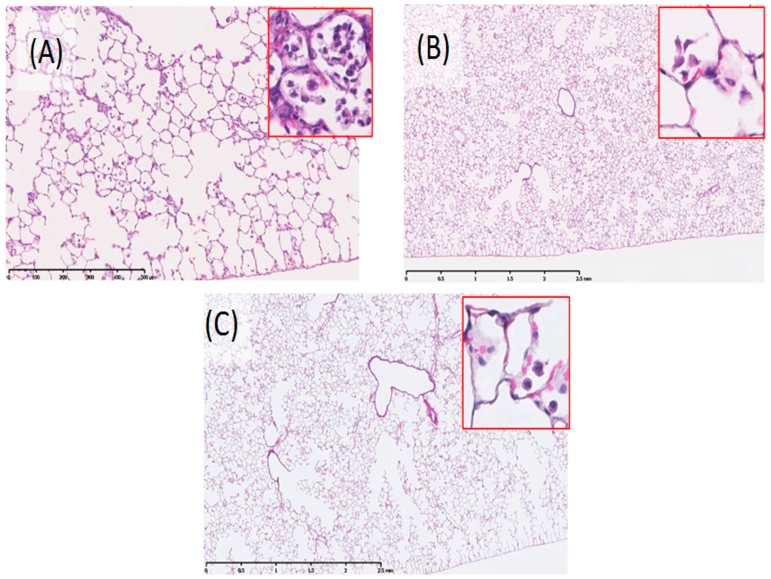 Ijms 17 01241 g005 1024