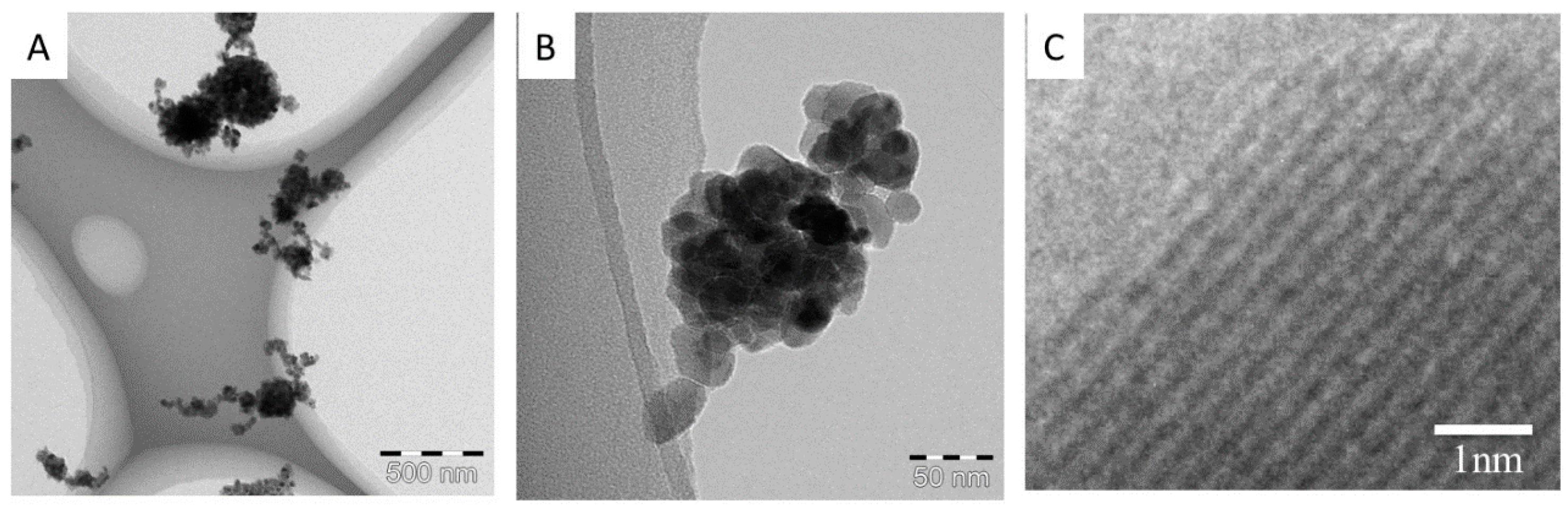 Ijms 17 01241 g008 1024