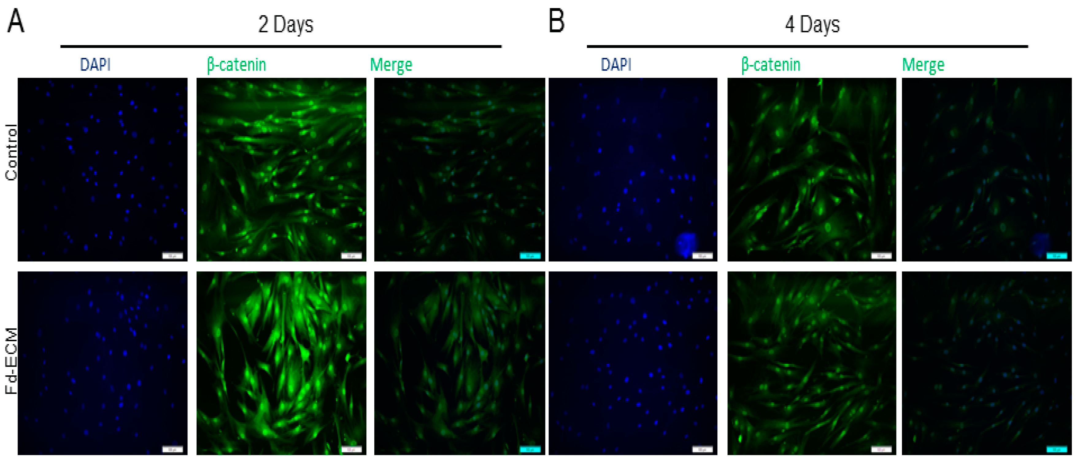 Ijms 17 01259 g008a