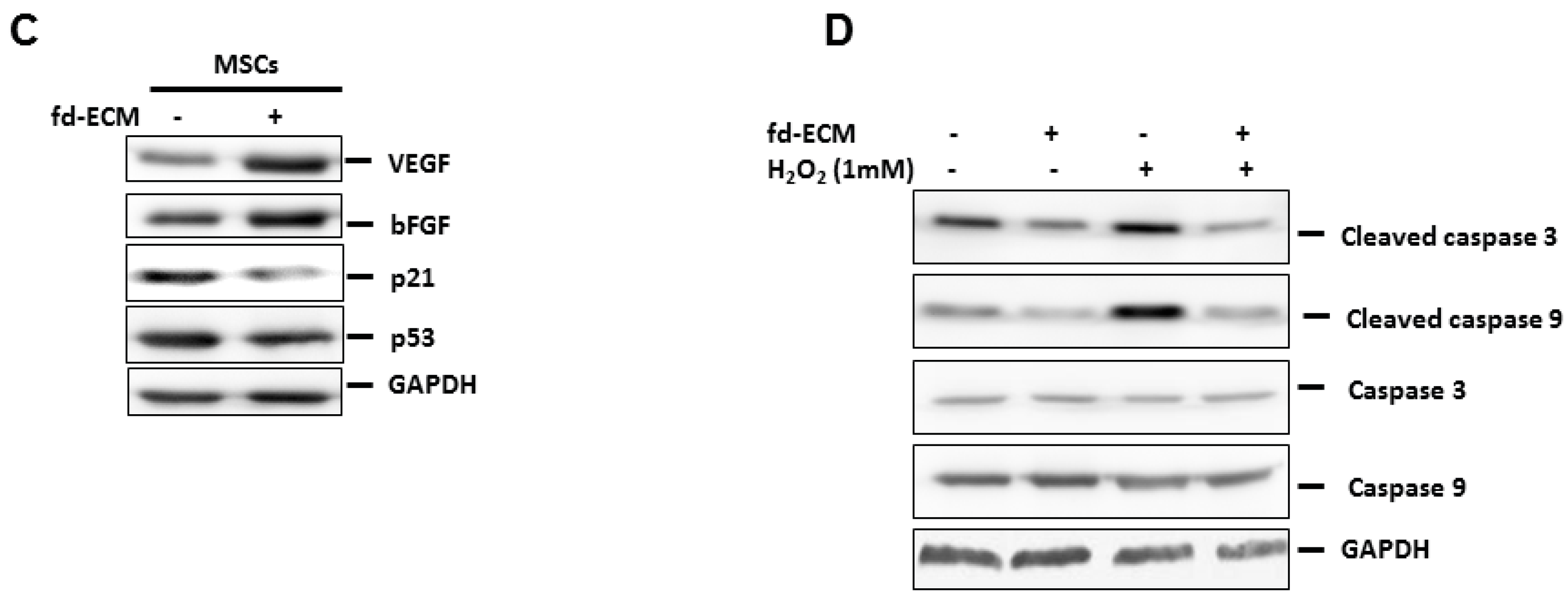 Ijms 17 01259 g009b