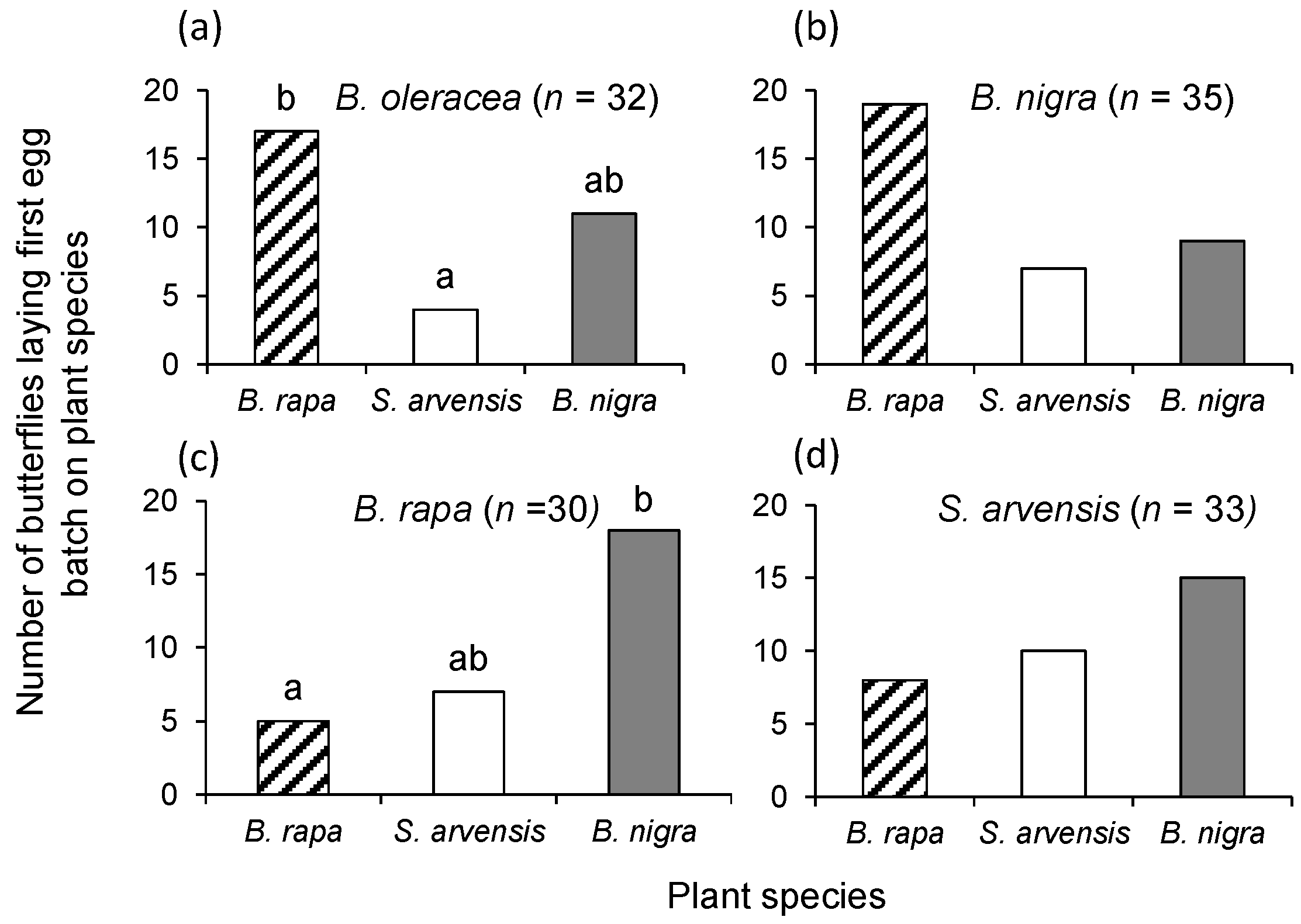 Ijms Free Full Text Integrating Insect Life History And Food Plant Phenology Flexible Maternal Choice Is Adaptive Html