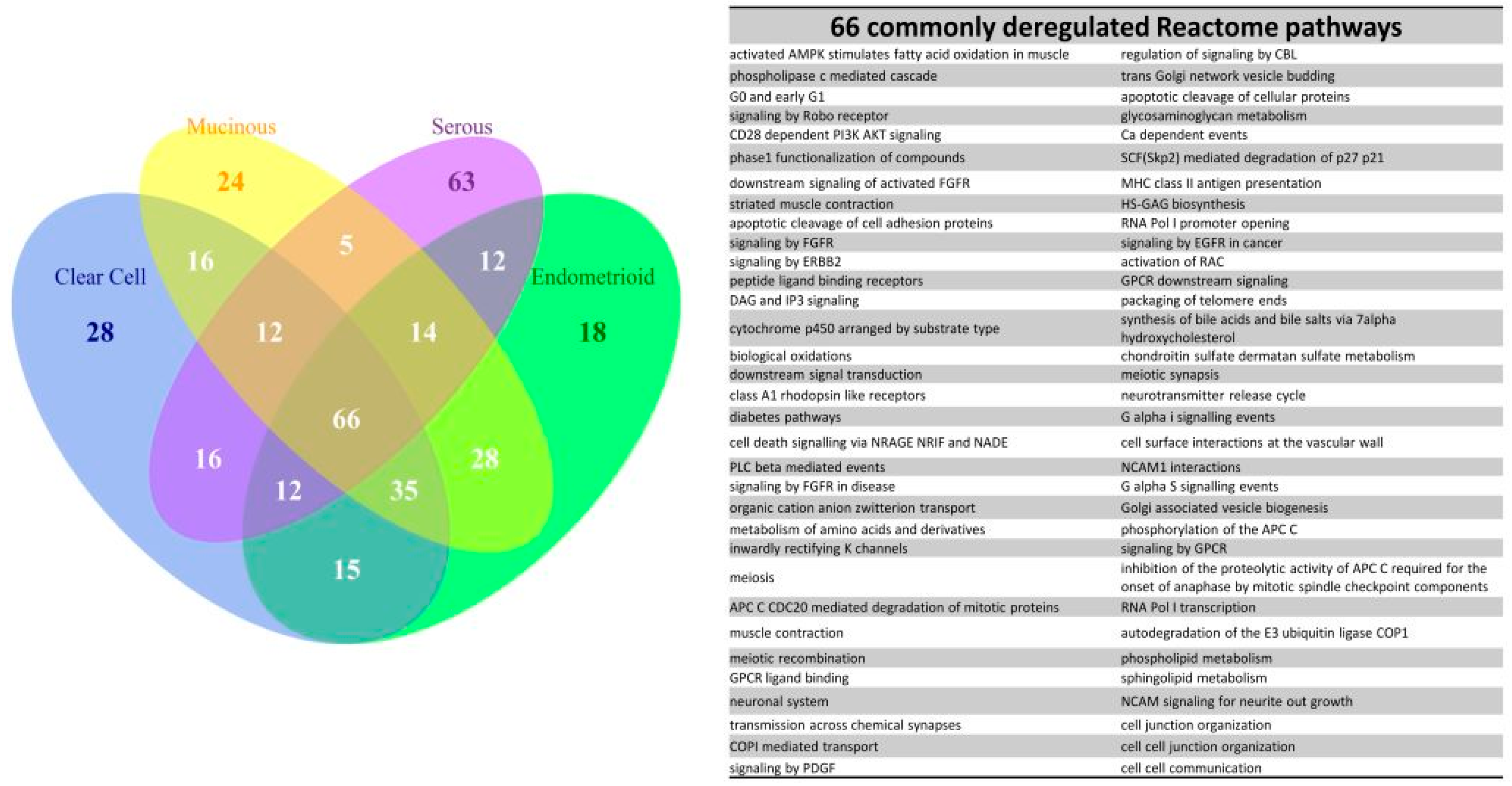 Ijms 17 01272 g005 1024