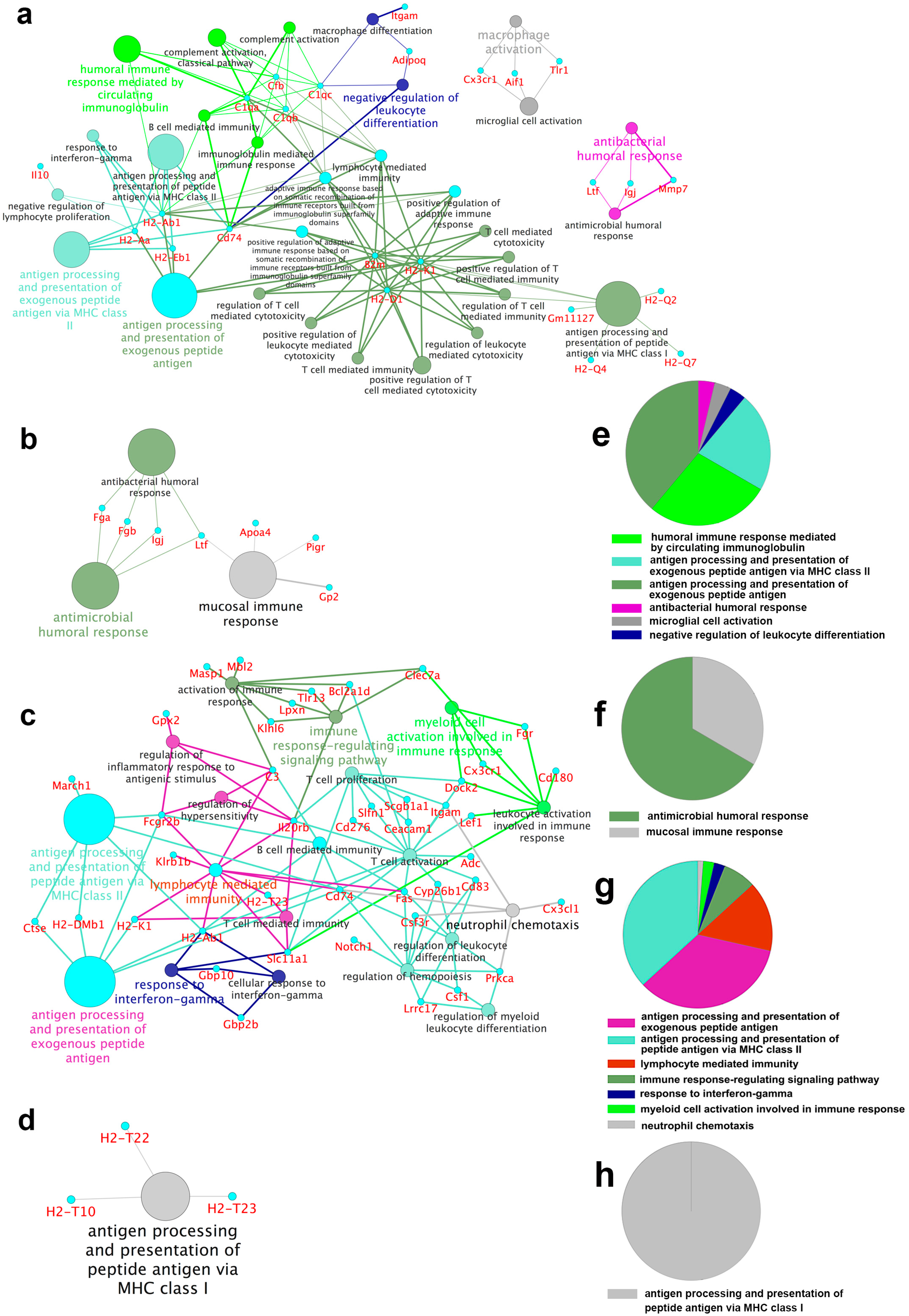 Ijms 17 01281 g003 1024