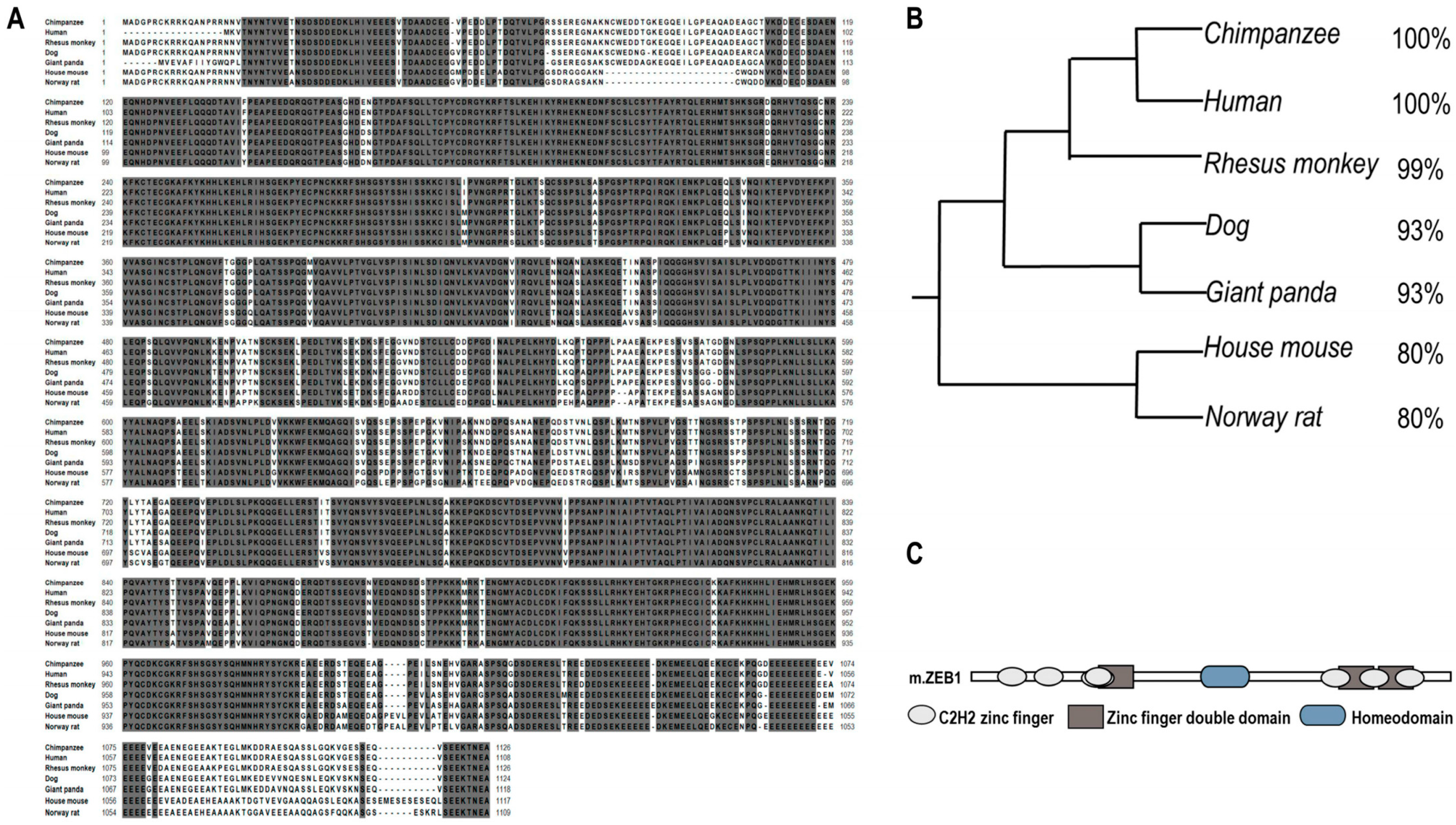 Ijms 17 01283 g001 1024