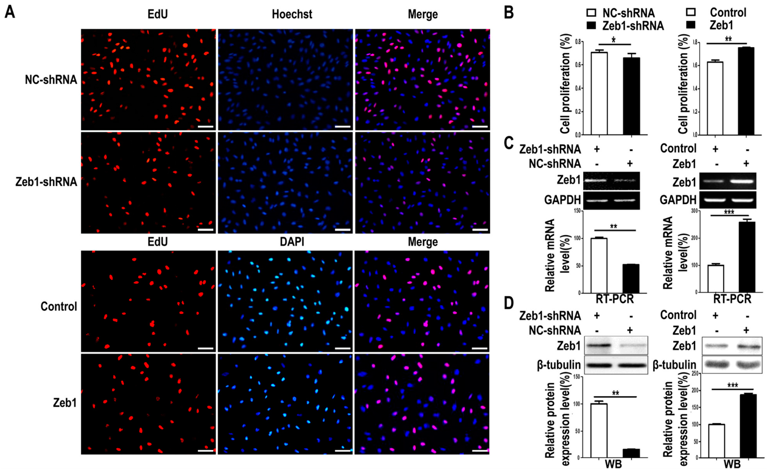 Ijms 17 01283 g002 1024