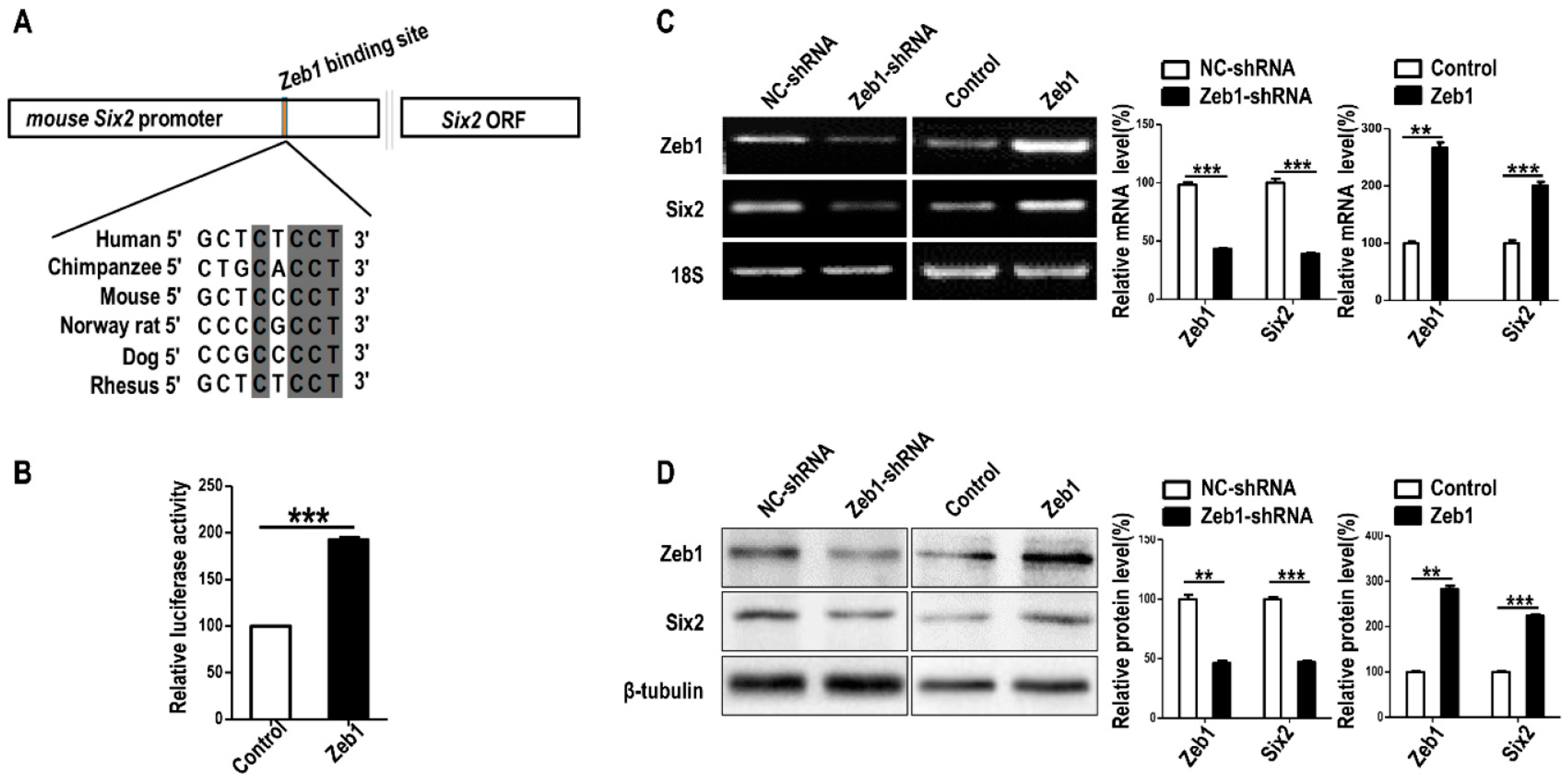 Ijms 17 01283 g005 1024