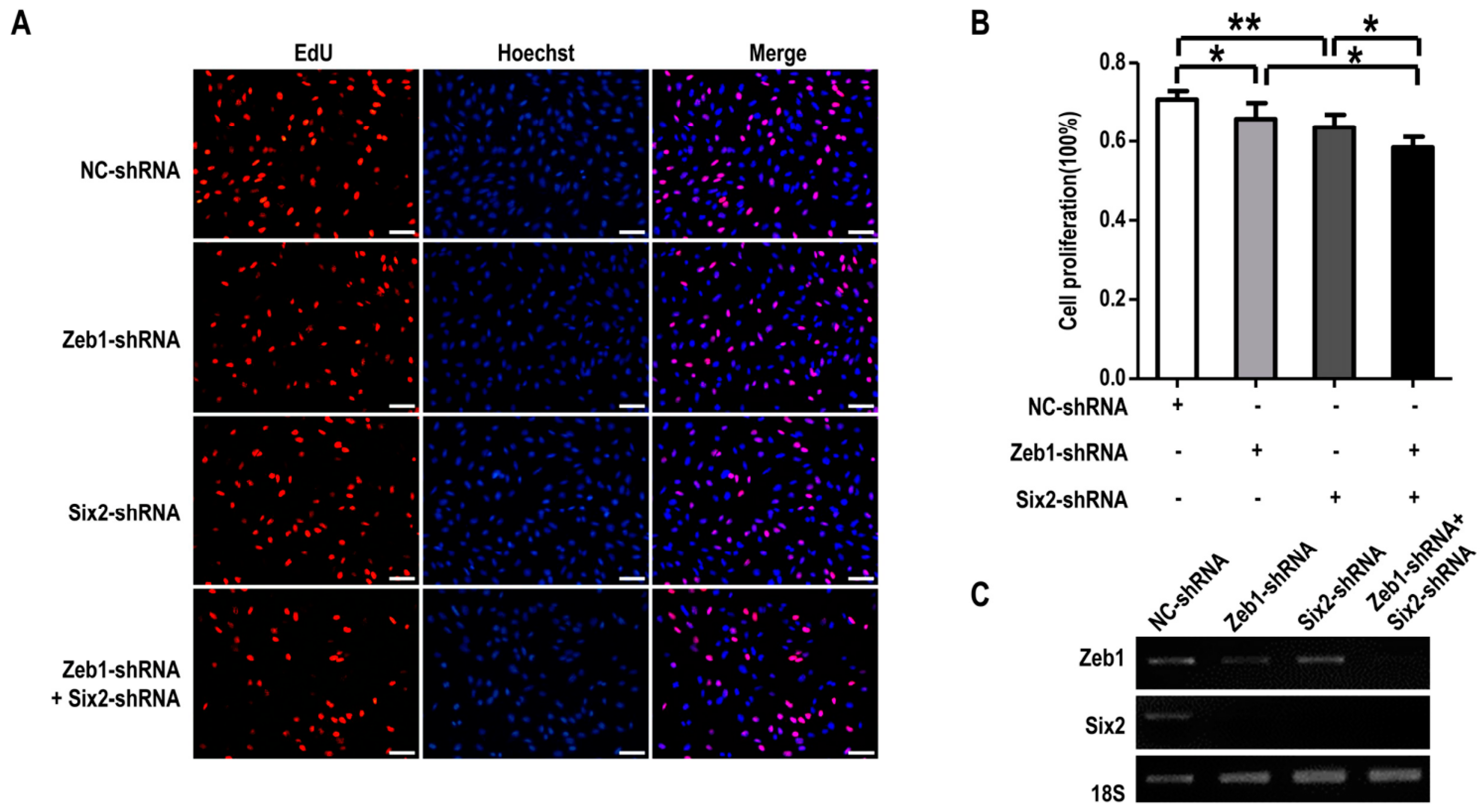 Ijms 17 01283 g006 1024