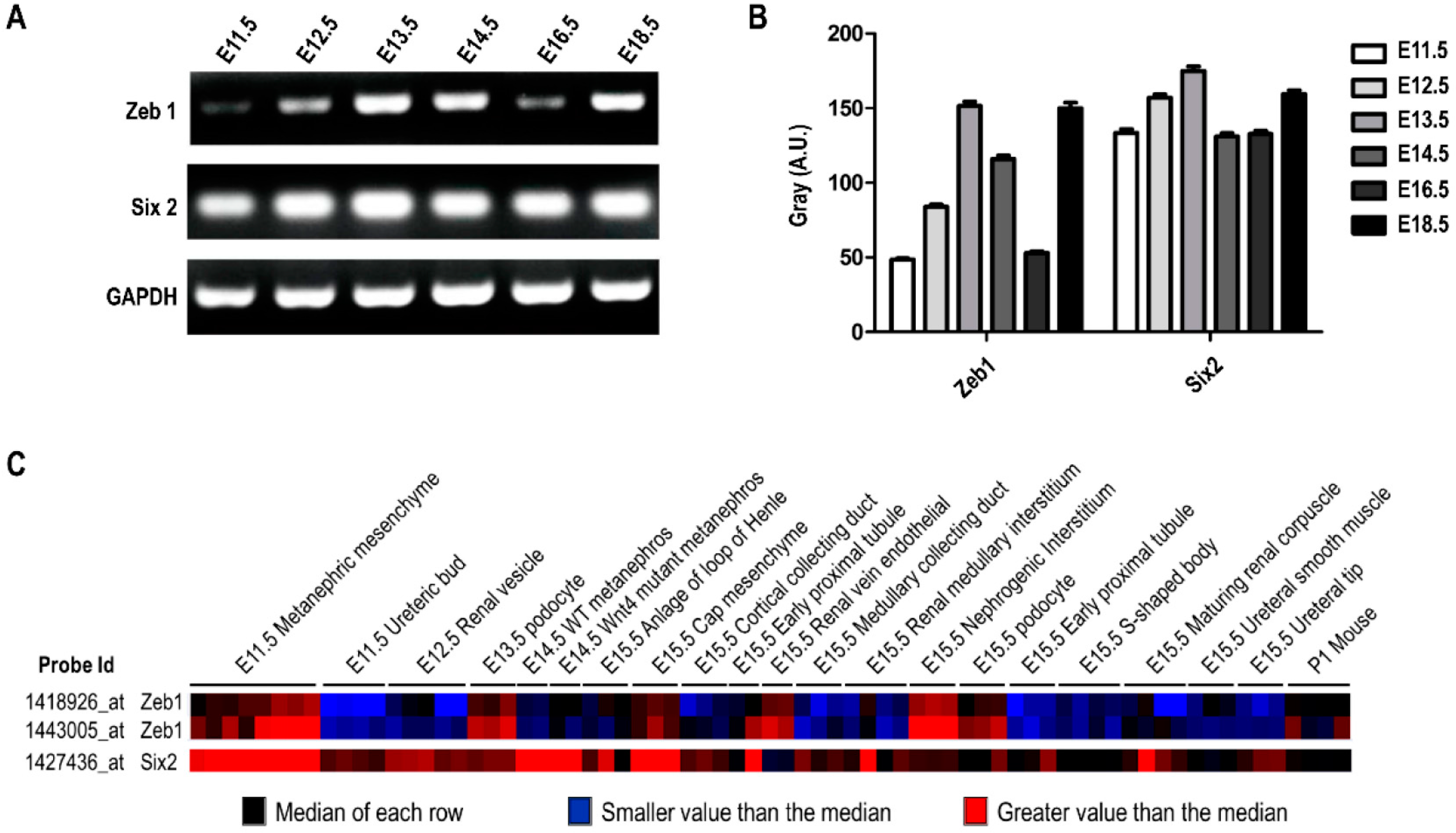 Ijms 17 01283 g008 1024