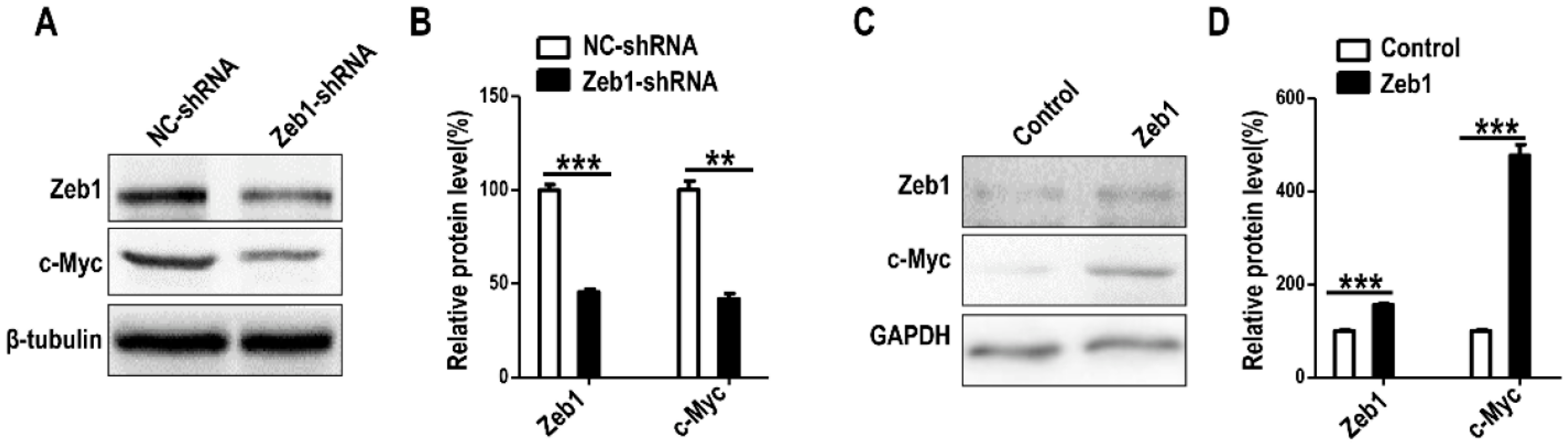 Ijms 17 01283 g009 1024