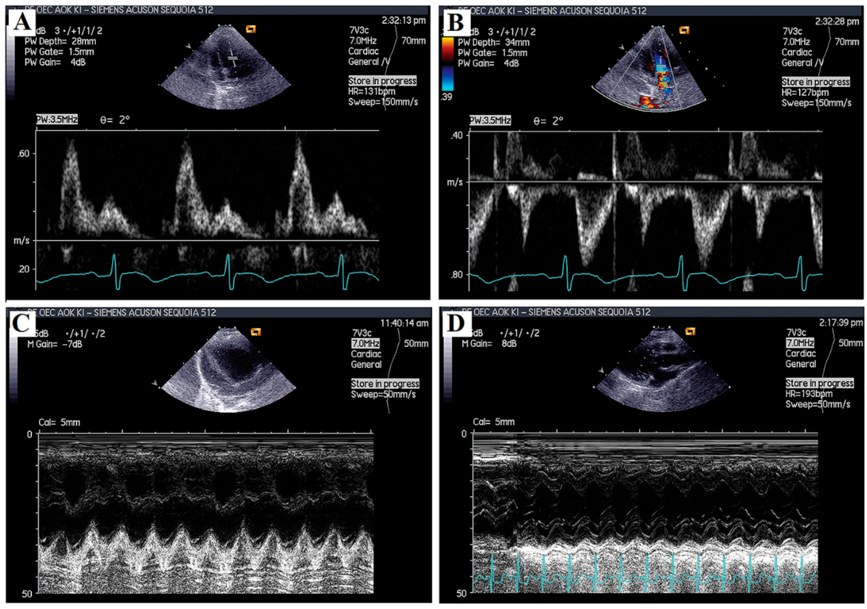 Ijms 17 01284 g005 1024
