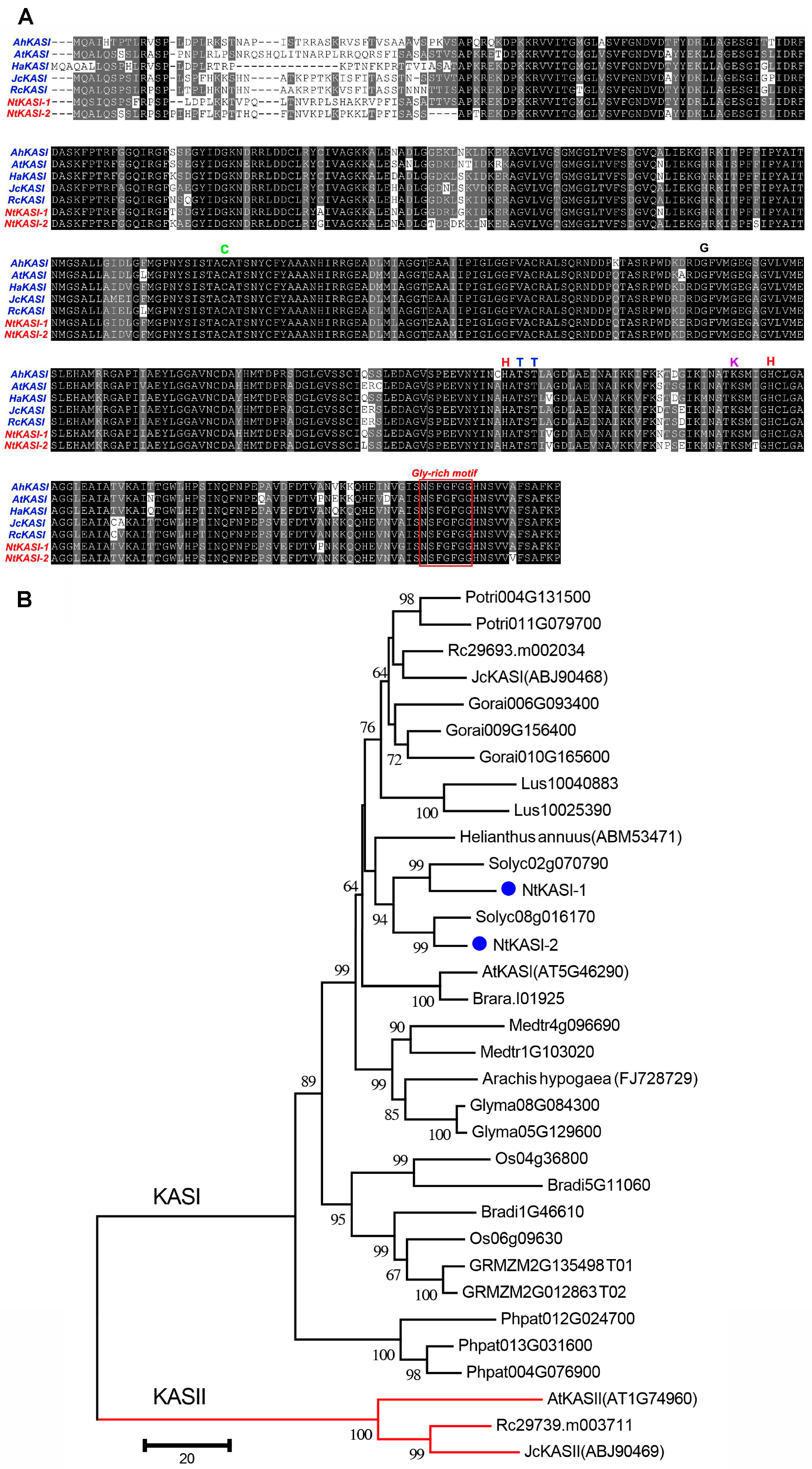 Ijms 17 01287 g001 1024