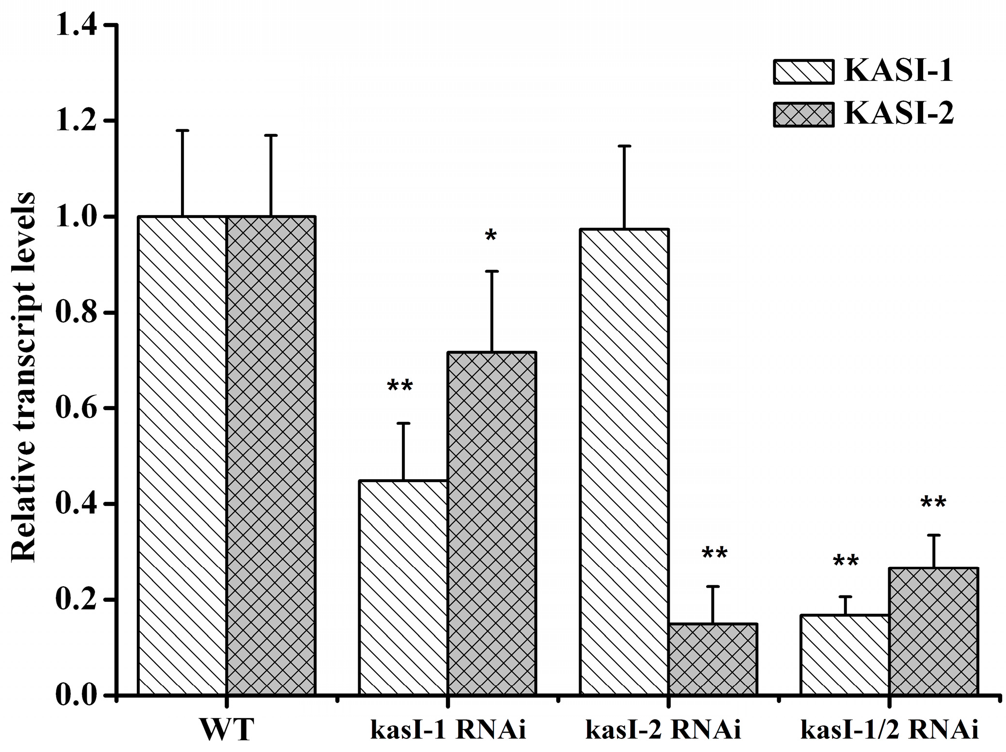 Ijms 17 01287 g005 1024
