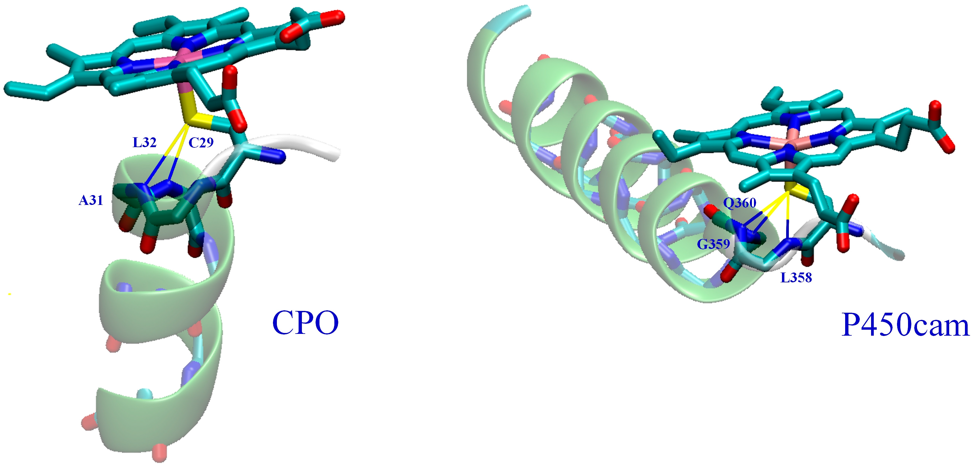 Ijms 17 01297 g001 1024