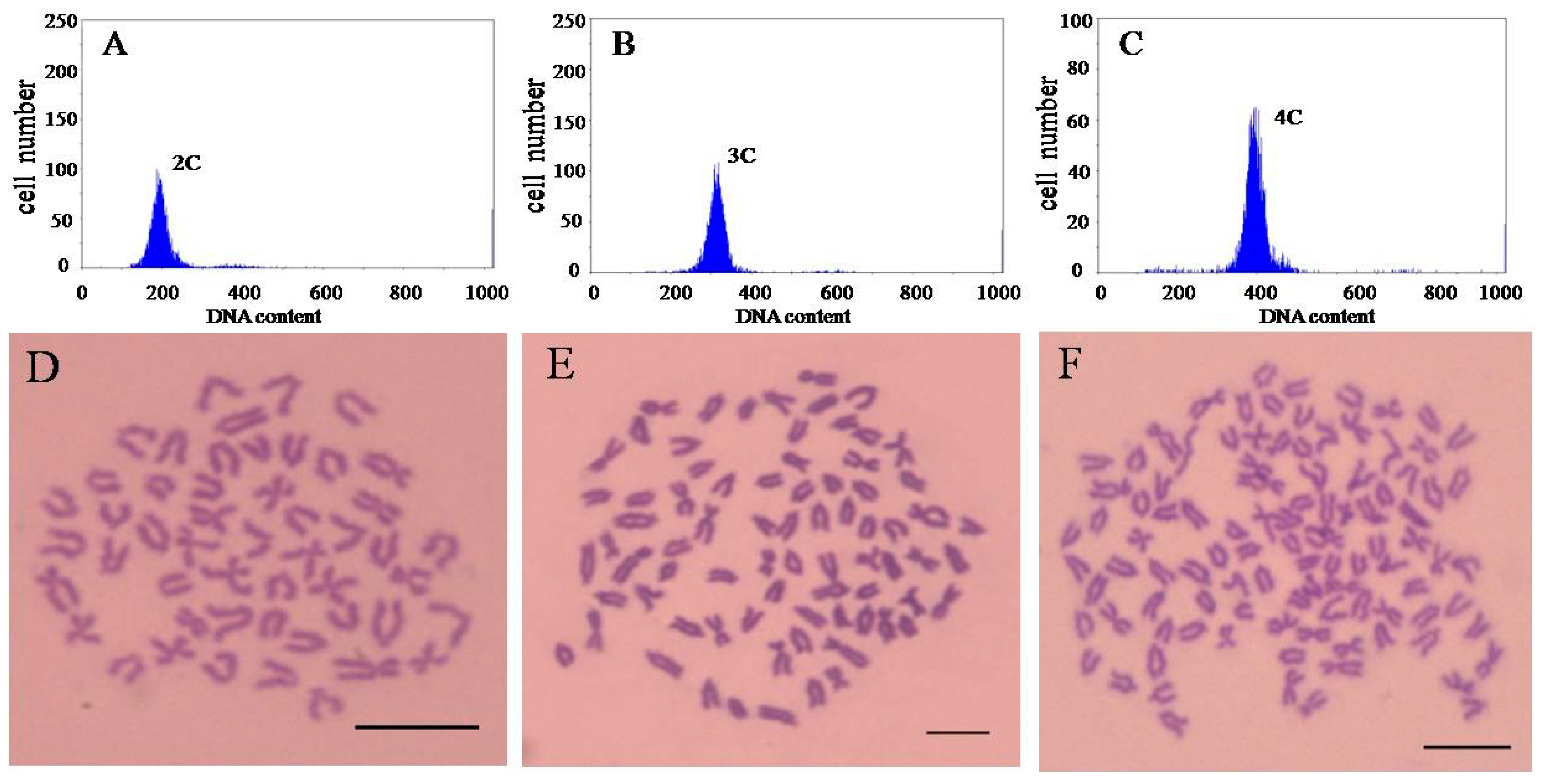 Ijms 17 01299 g001 1024