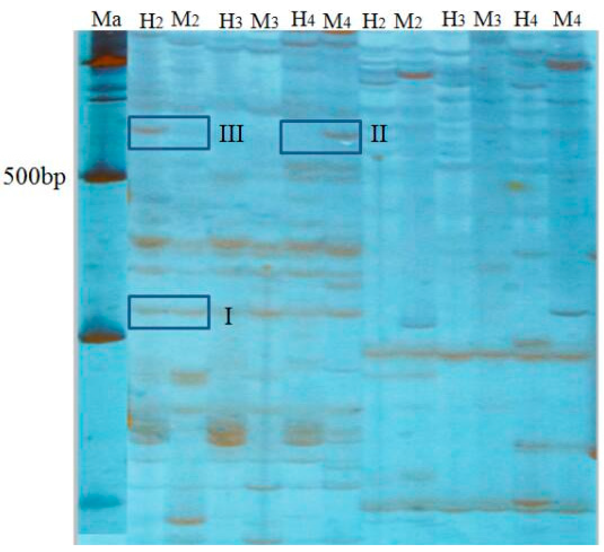 Ijms 17 01299 g002 1024