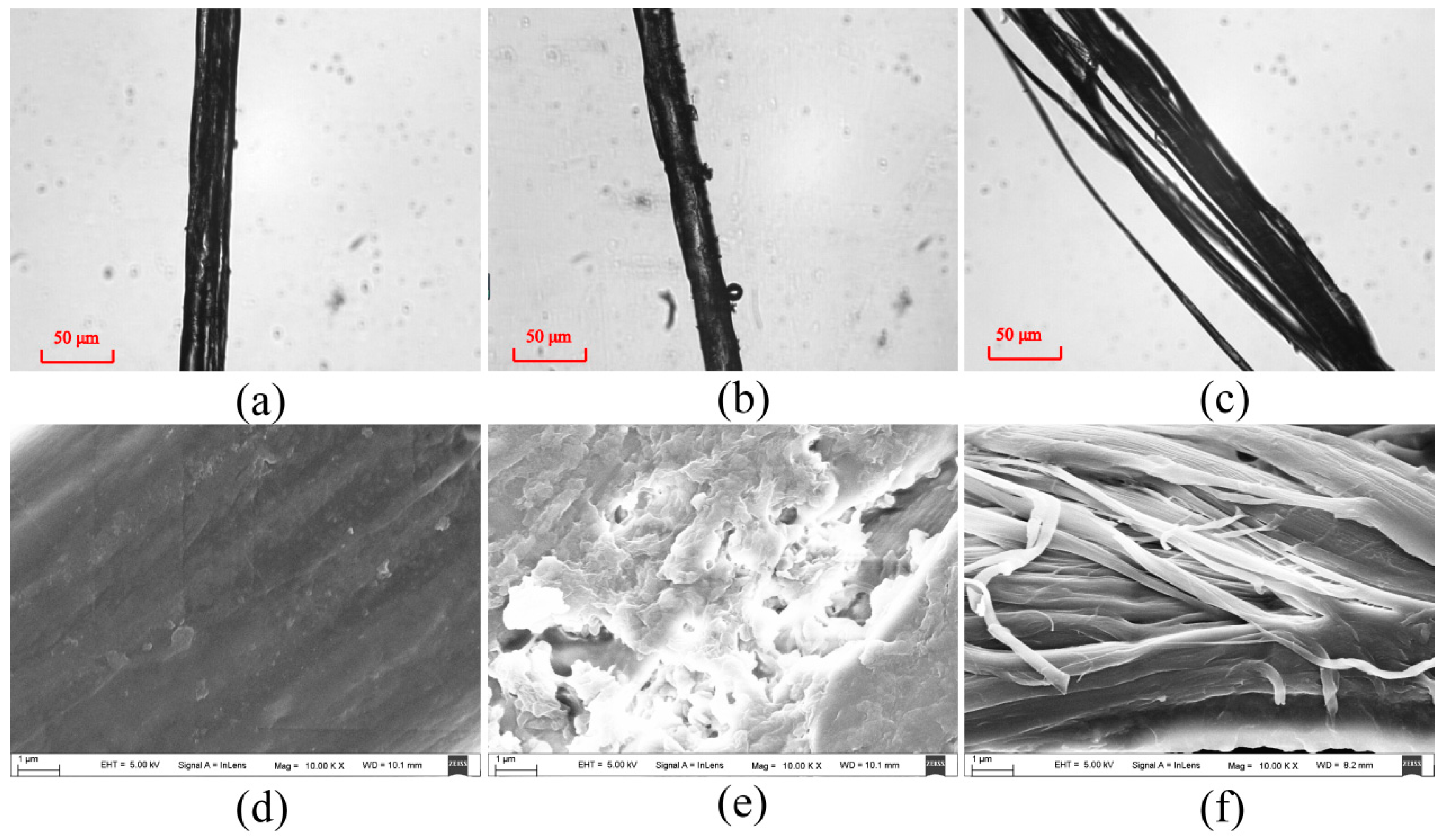 Ijms 17 01301 g007 1024