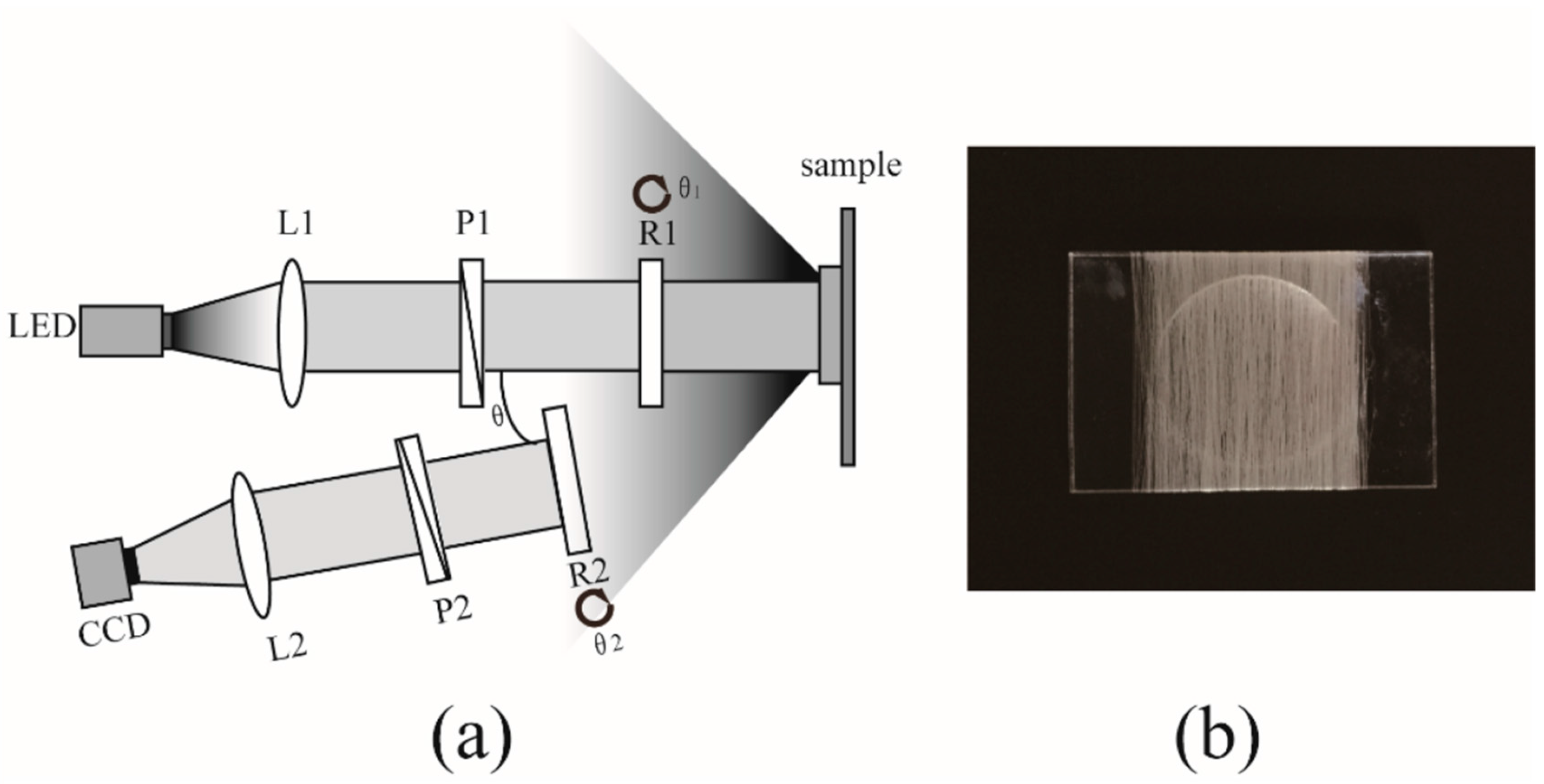 Ijms 17 01301 g010 1024