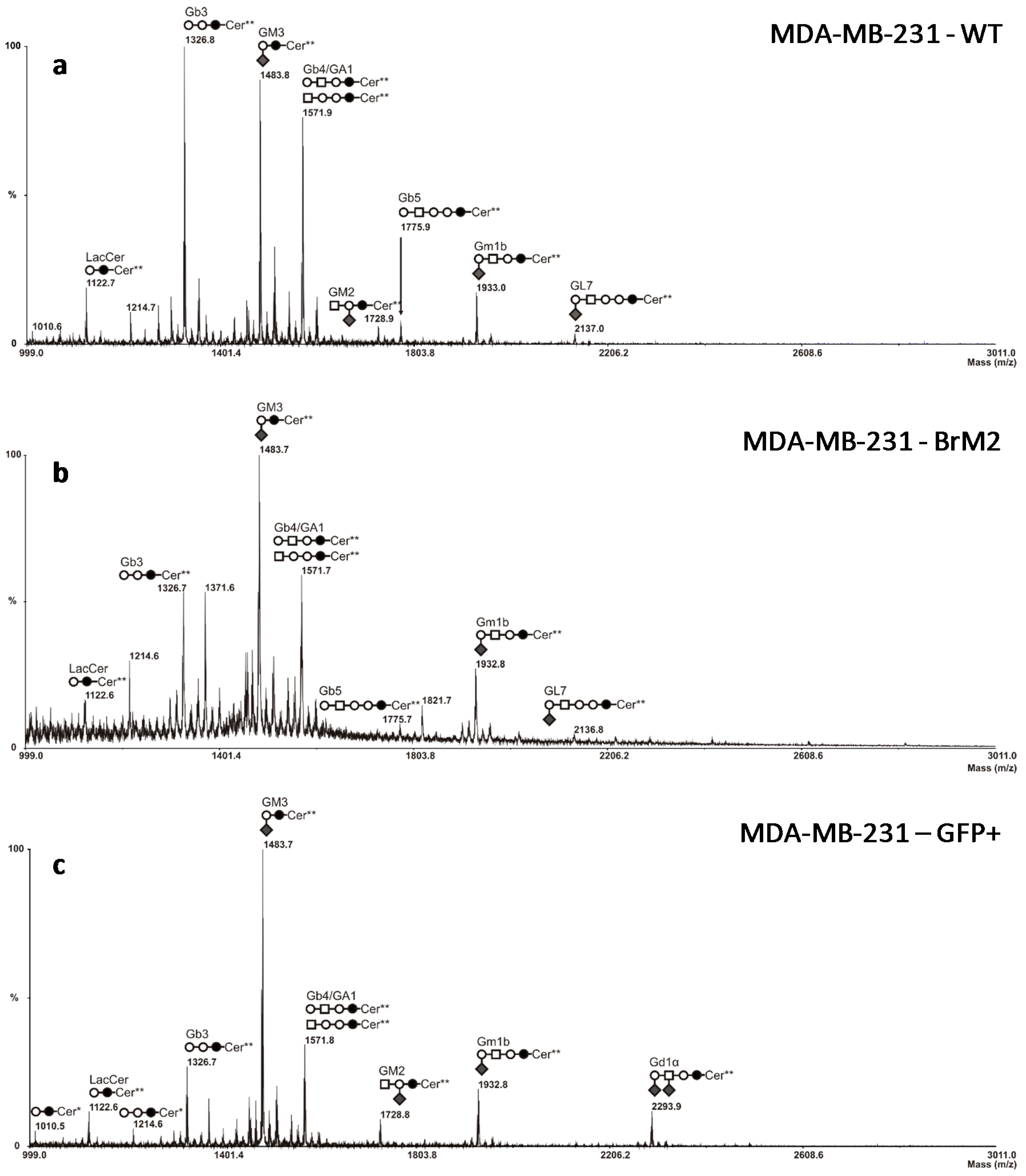 Ijms 17 01309 g003 1024