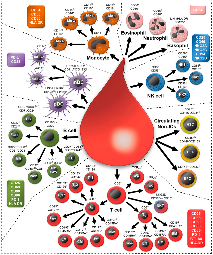 IJMS Free FullText Development of a Modular Assay for Detailed
