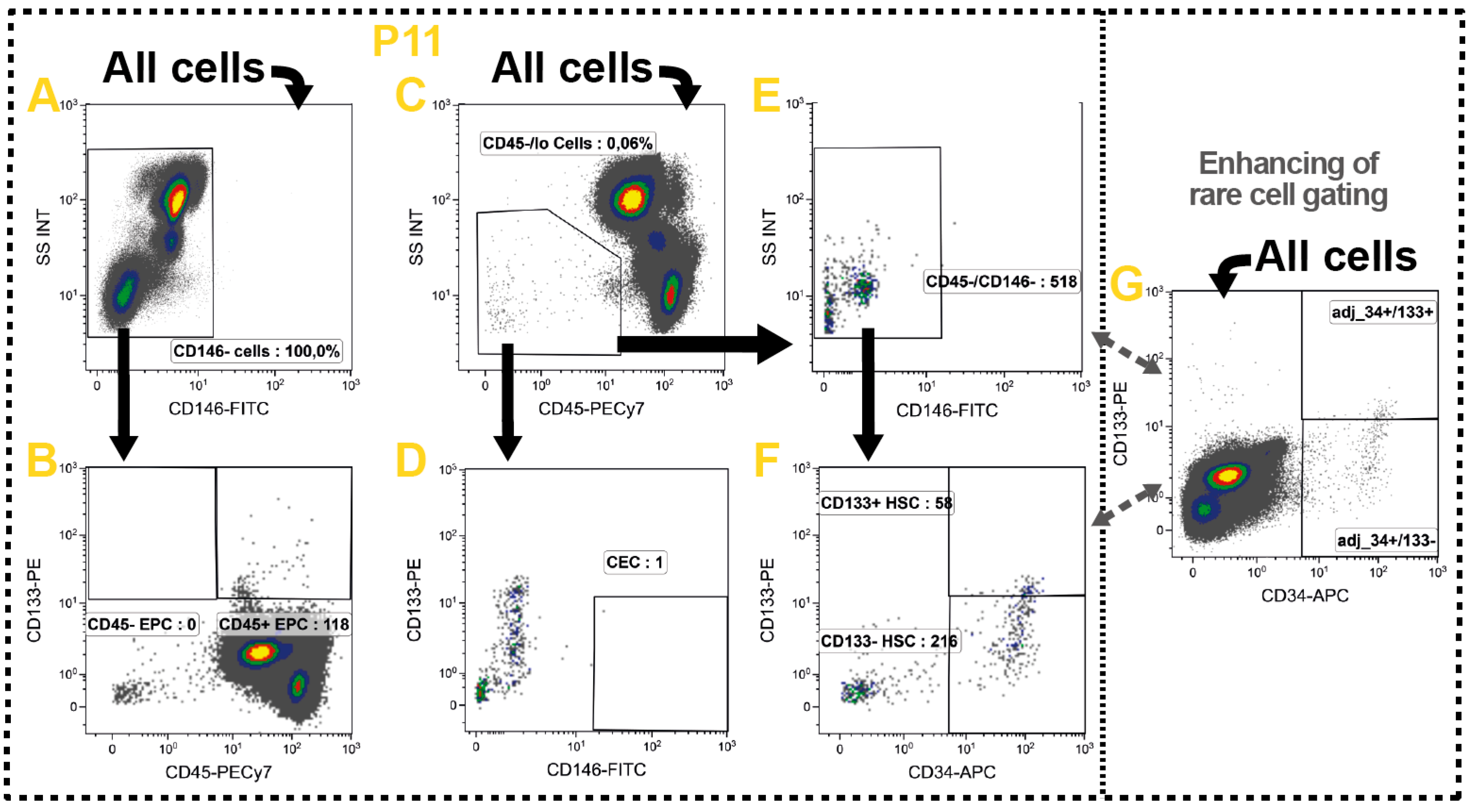 Ijms 17 01316 g007 1024