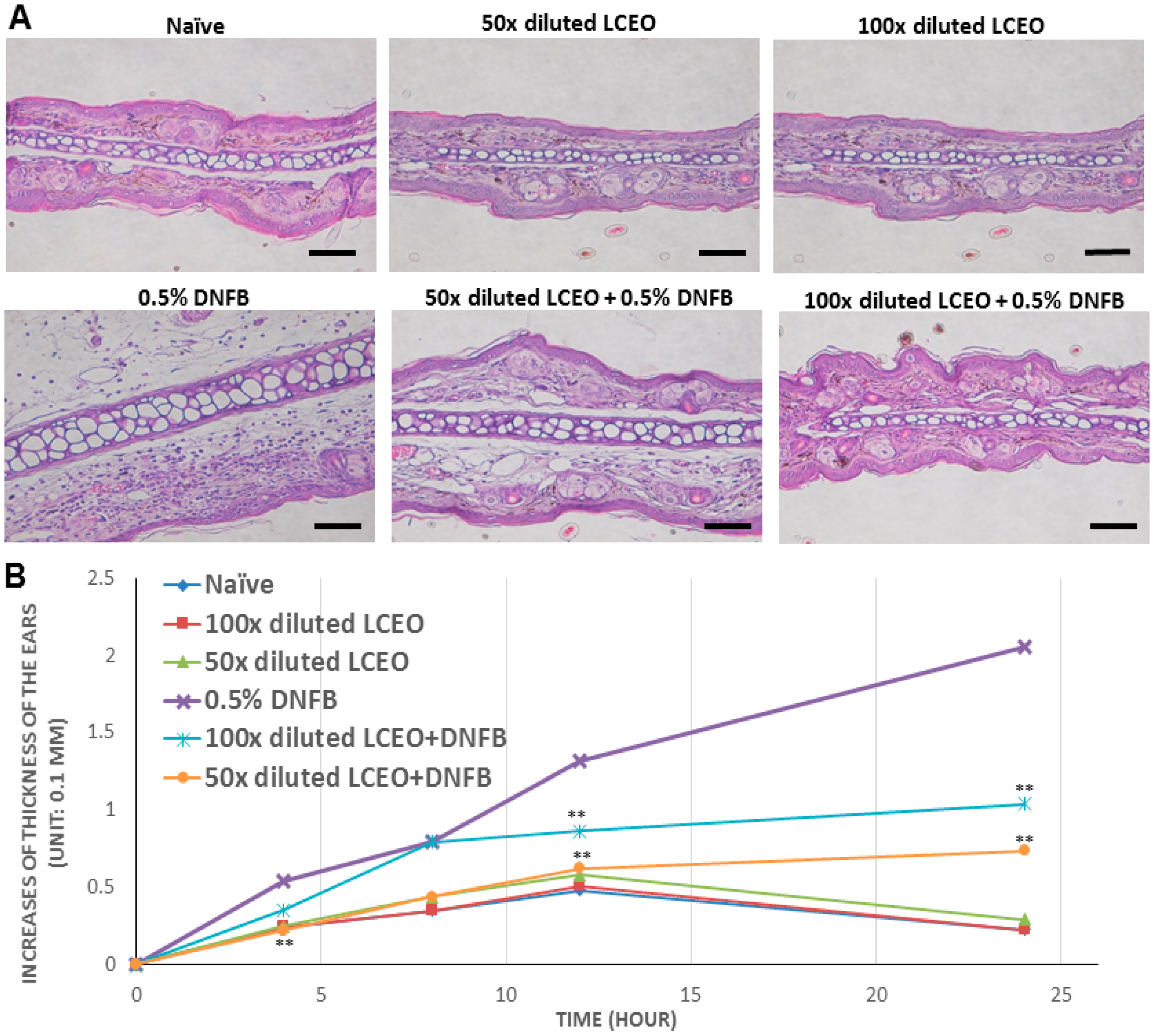 Ijms 17 01319 g003 1024