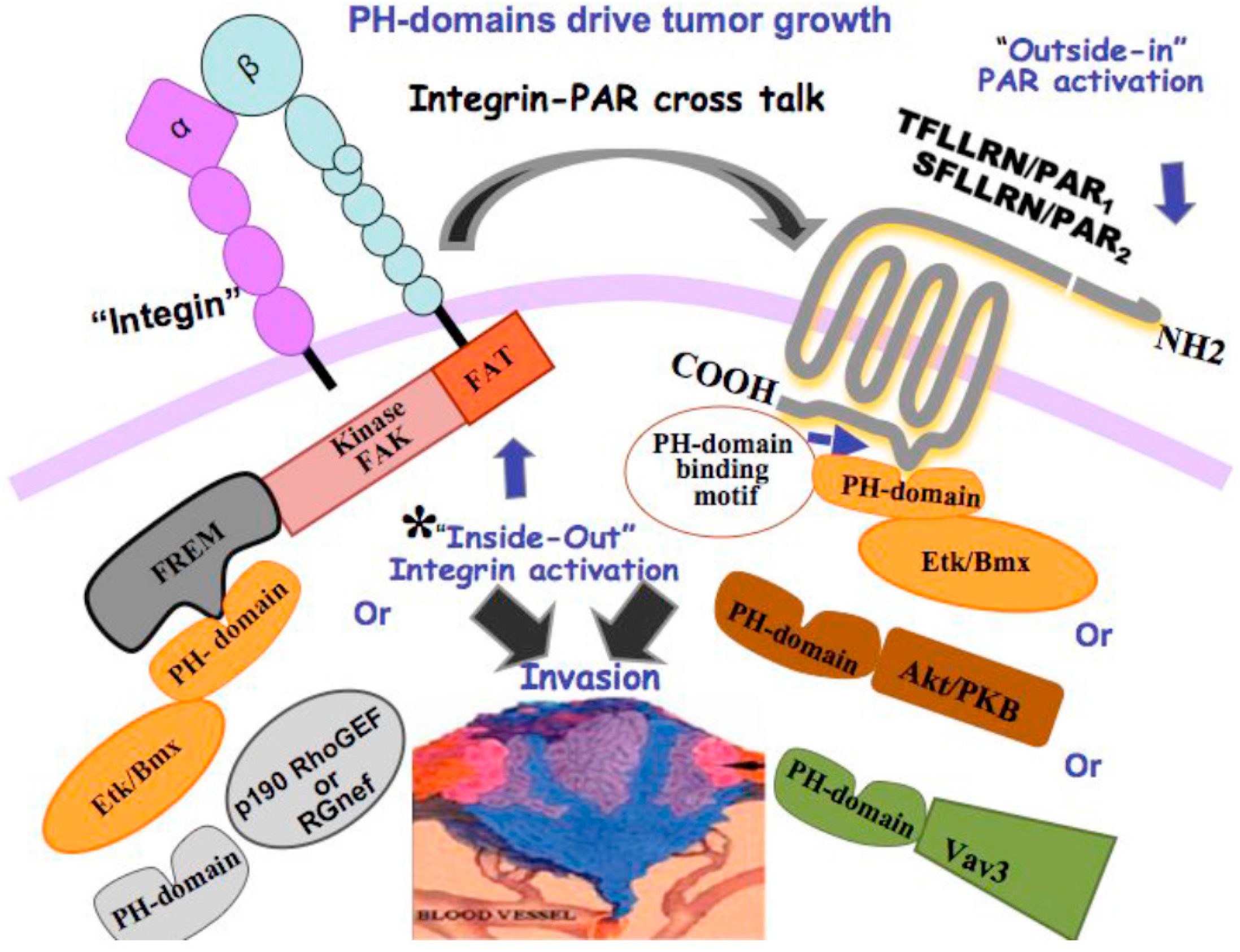 Ijms 17 01320 sch003 1024