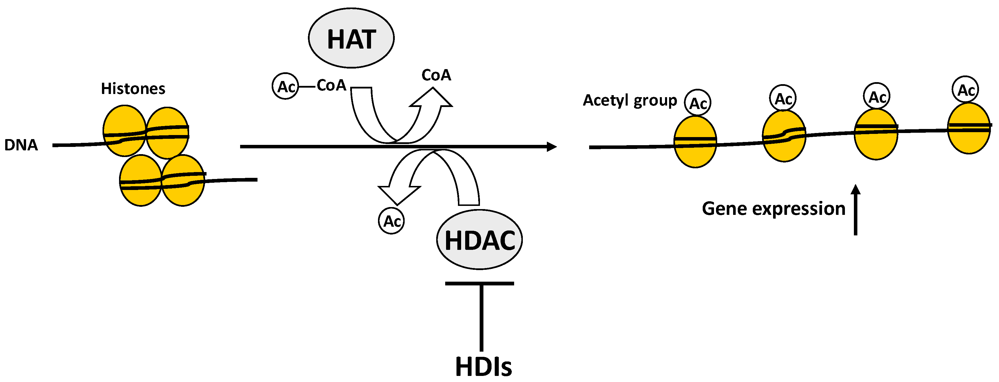 Ijms 17 01329 g003 1024