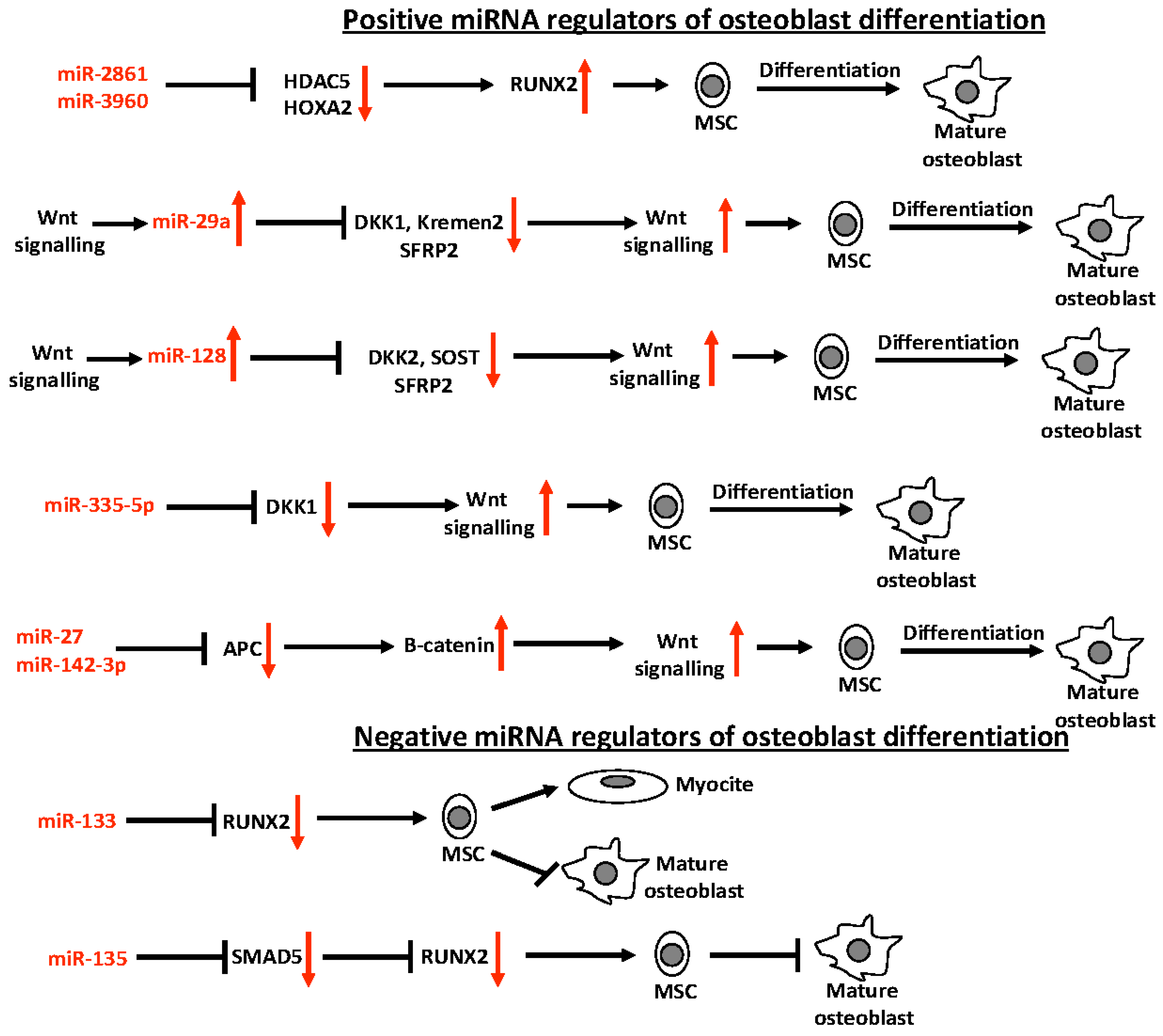 Ijms 17 01329 g004 1024