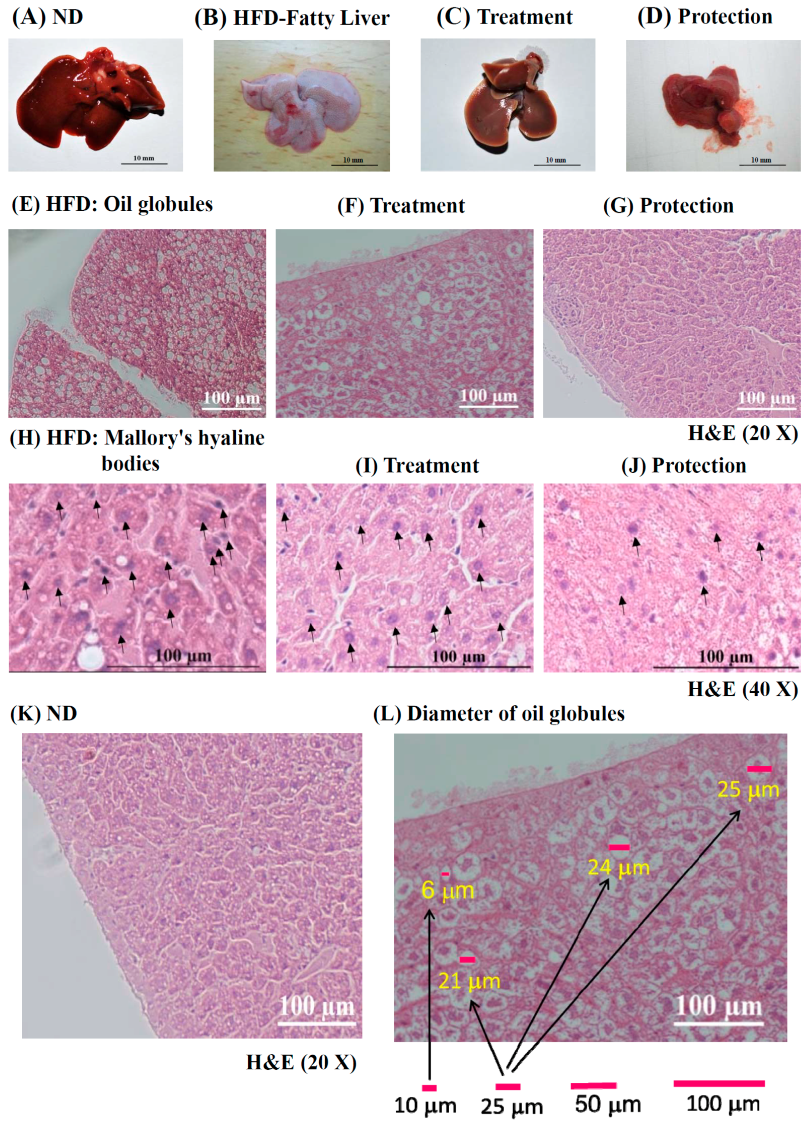 Ijms 17 01345 g002 1024