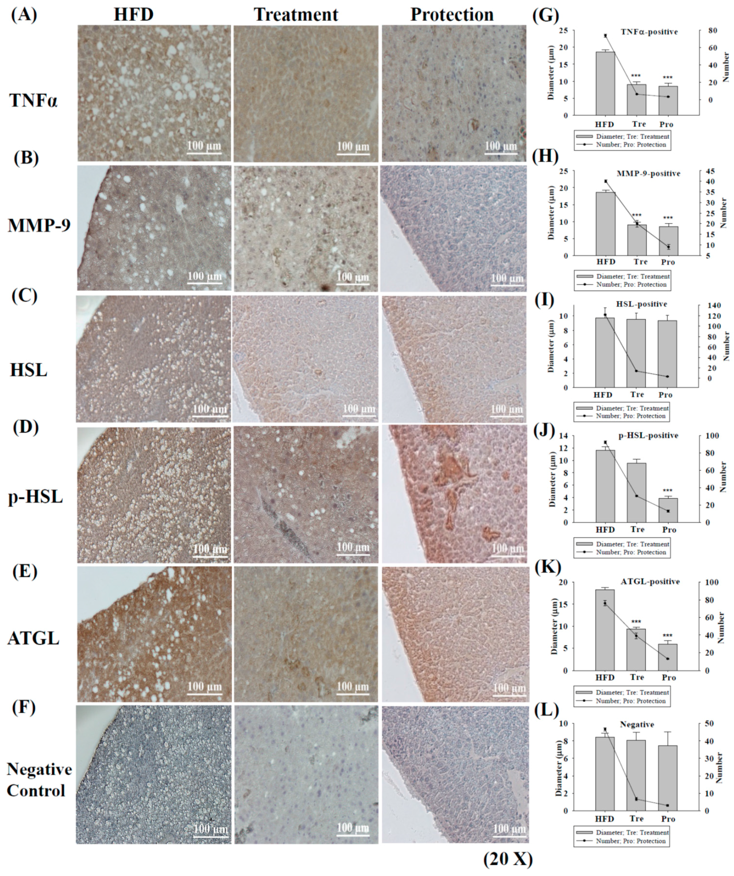 Ijms 17 01345 g003 1024