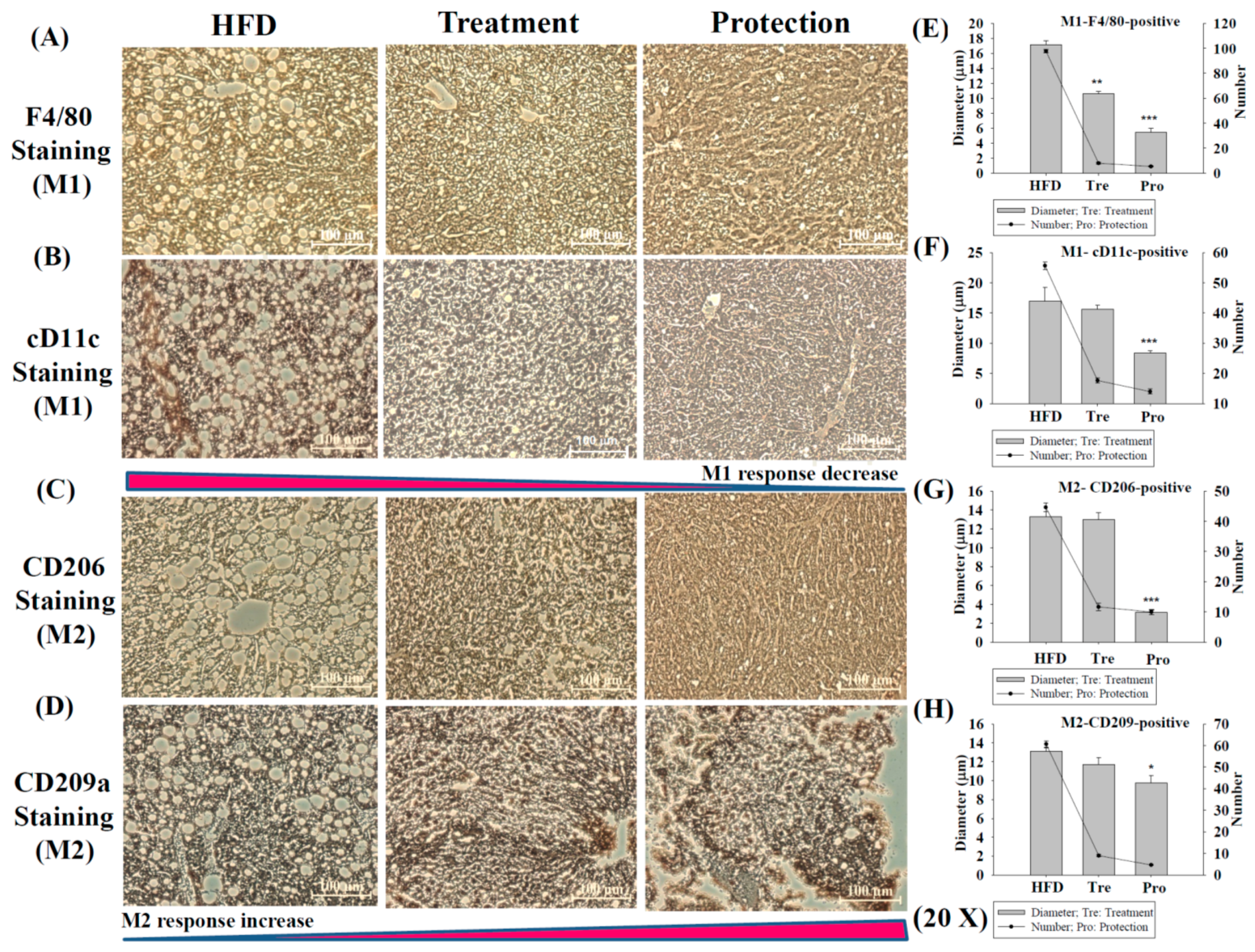 Ijms 17 01345 g004 1024