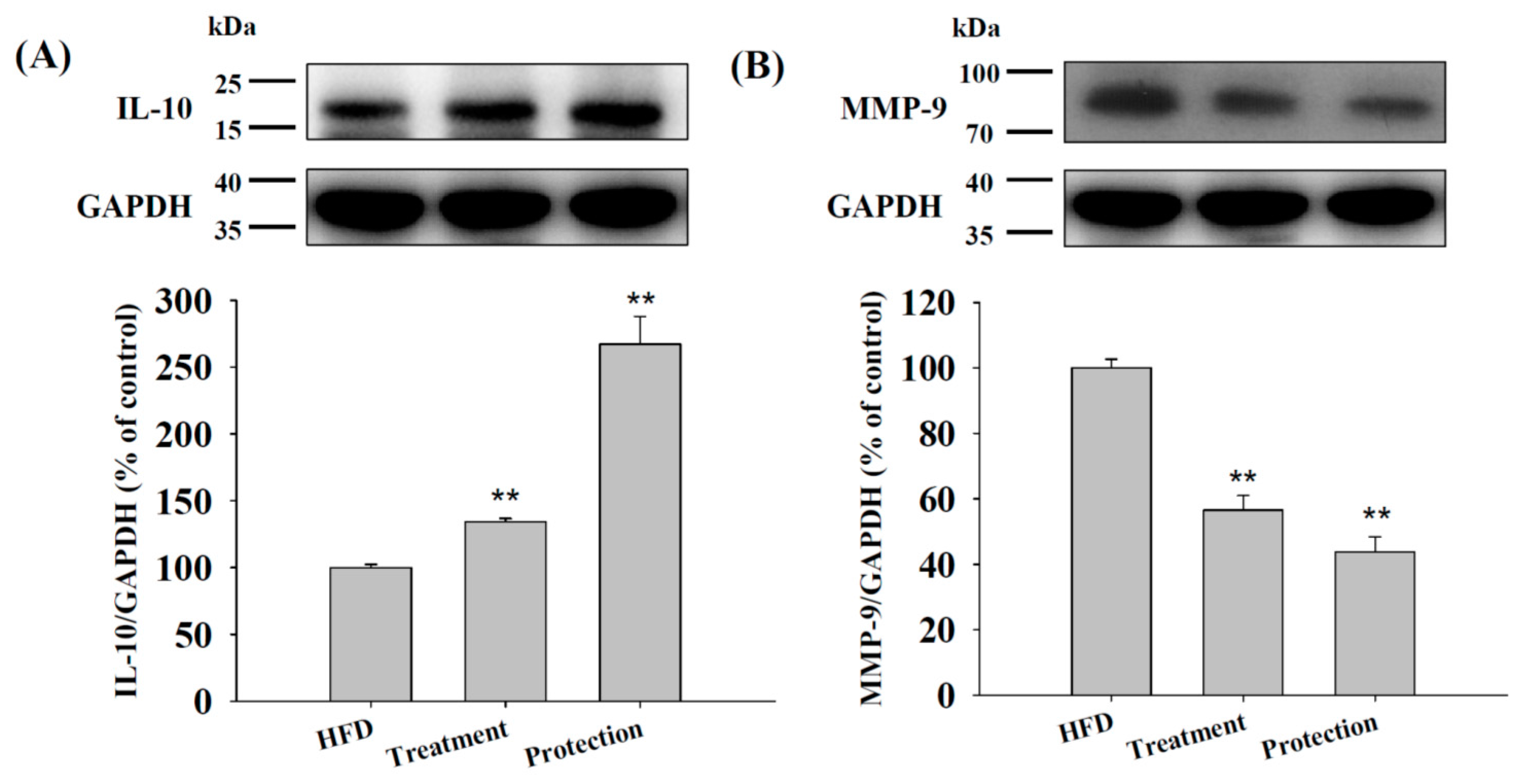 Ijms 17 01345 g005 1024