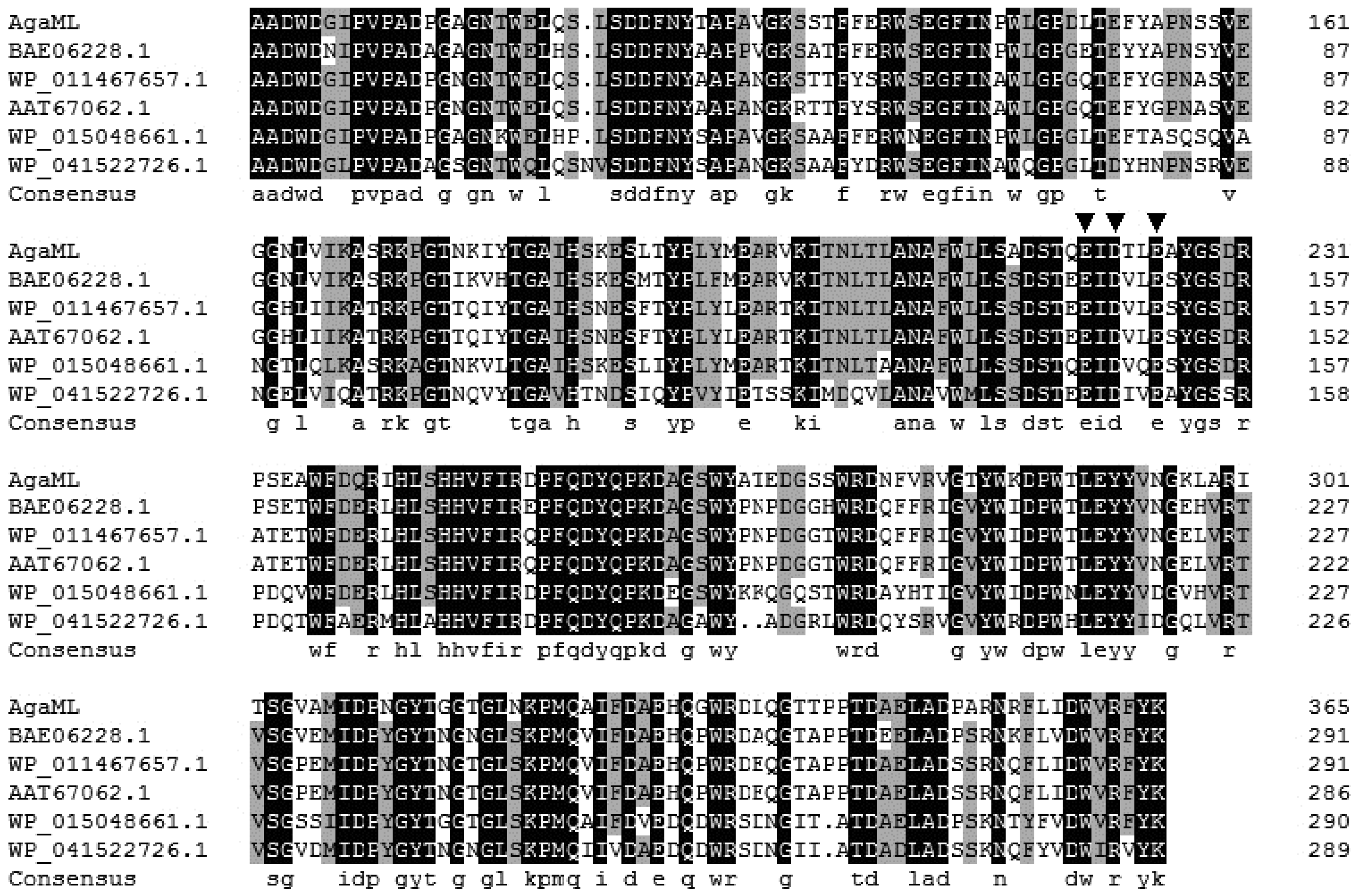 Ijms 17 01360 g002 1024
