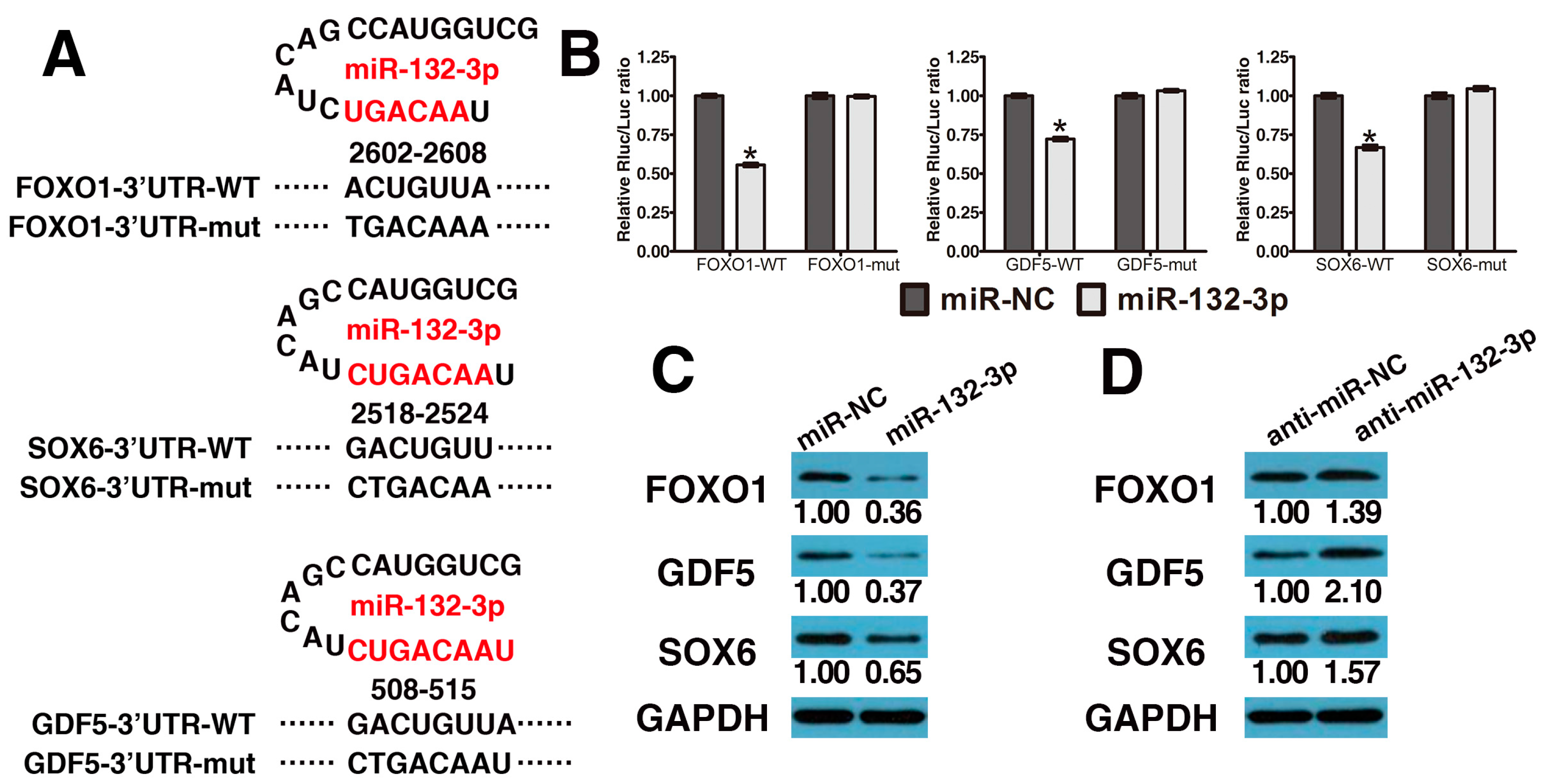 Ijms 17 01370 g002 1024
