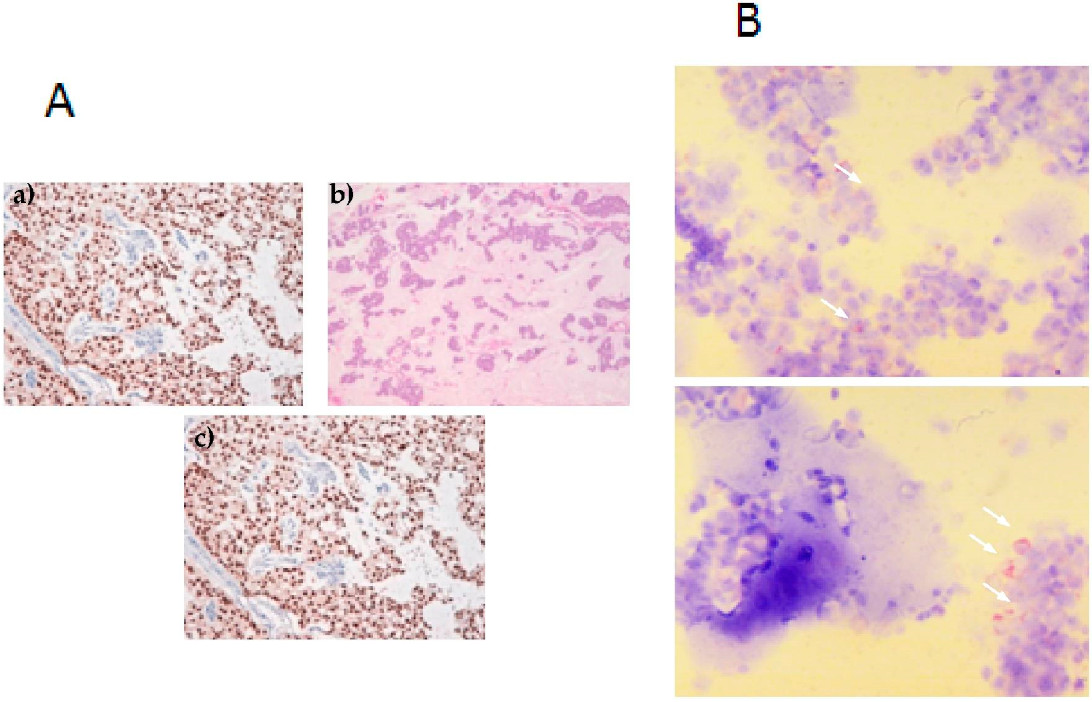 Ijms 17 01375 g001 1024