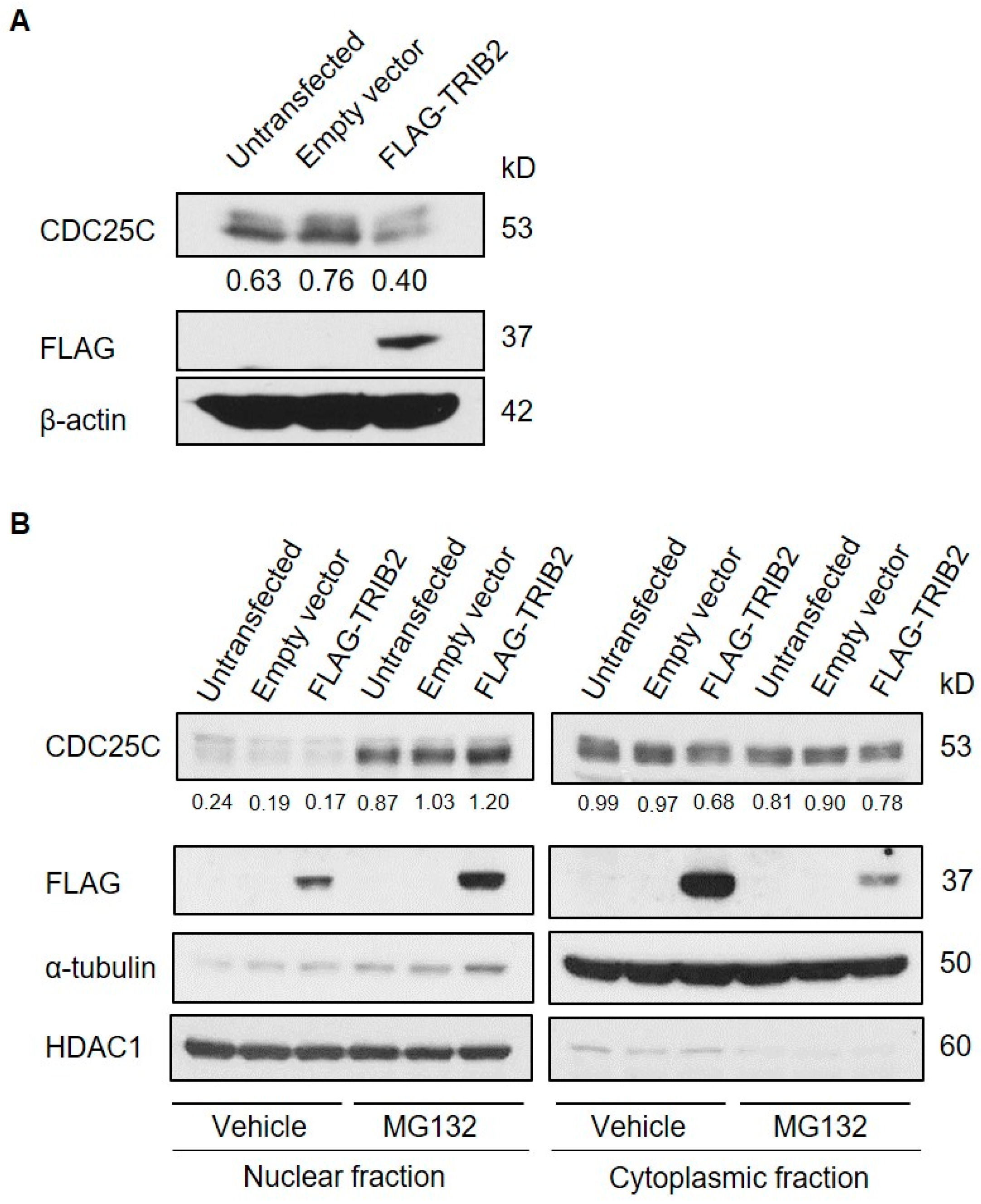 Ijms 17 01378 g002 1024