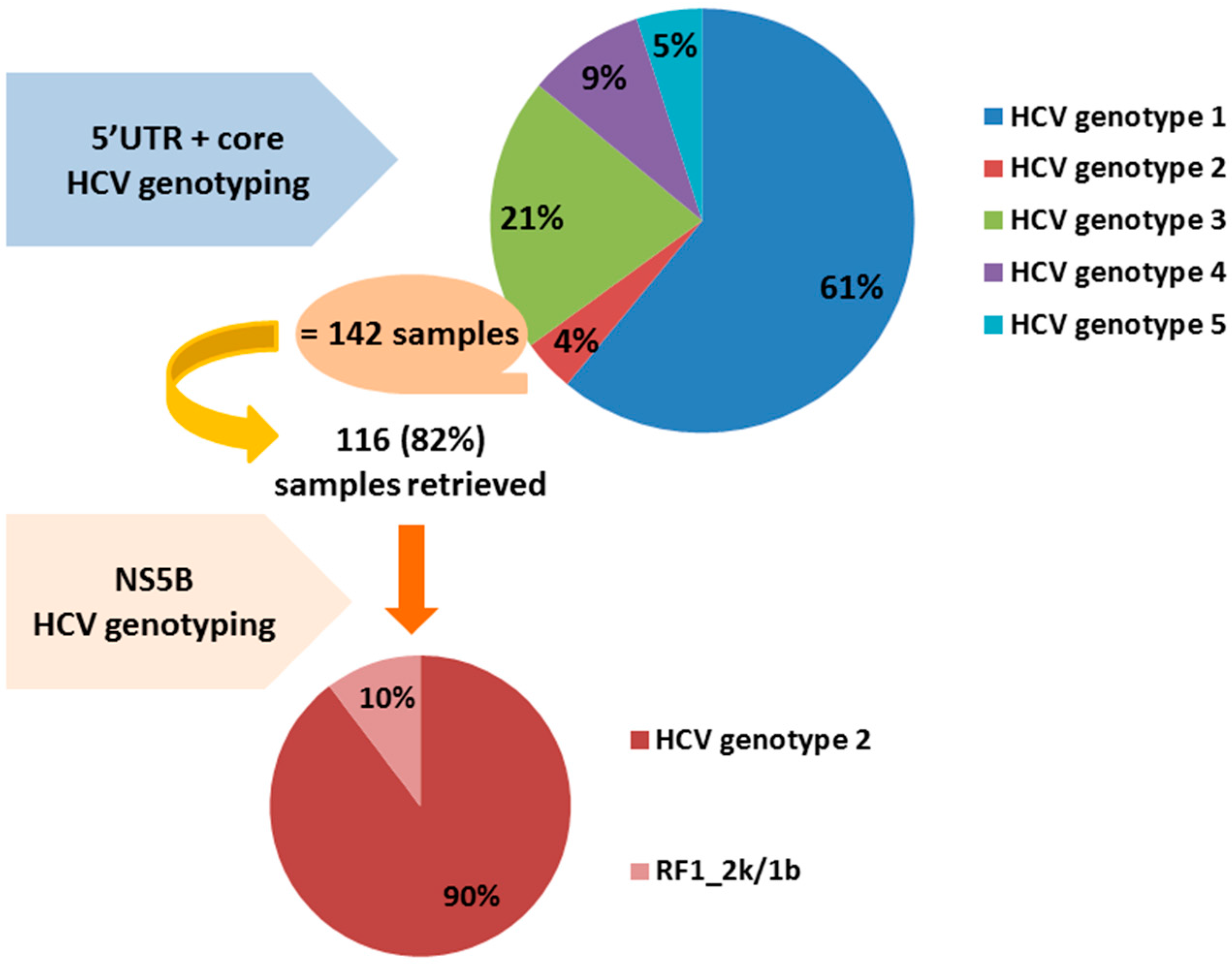 HCV цвета. HCV. Исследование hcv