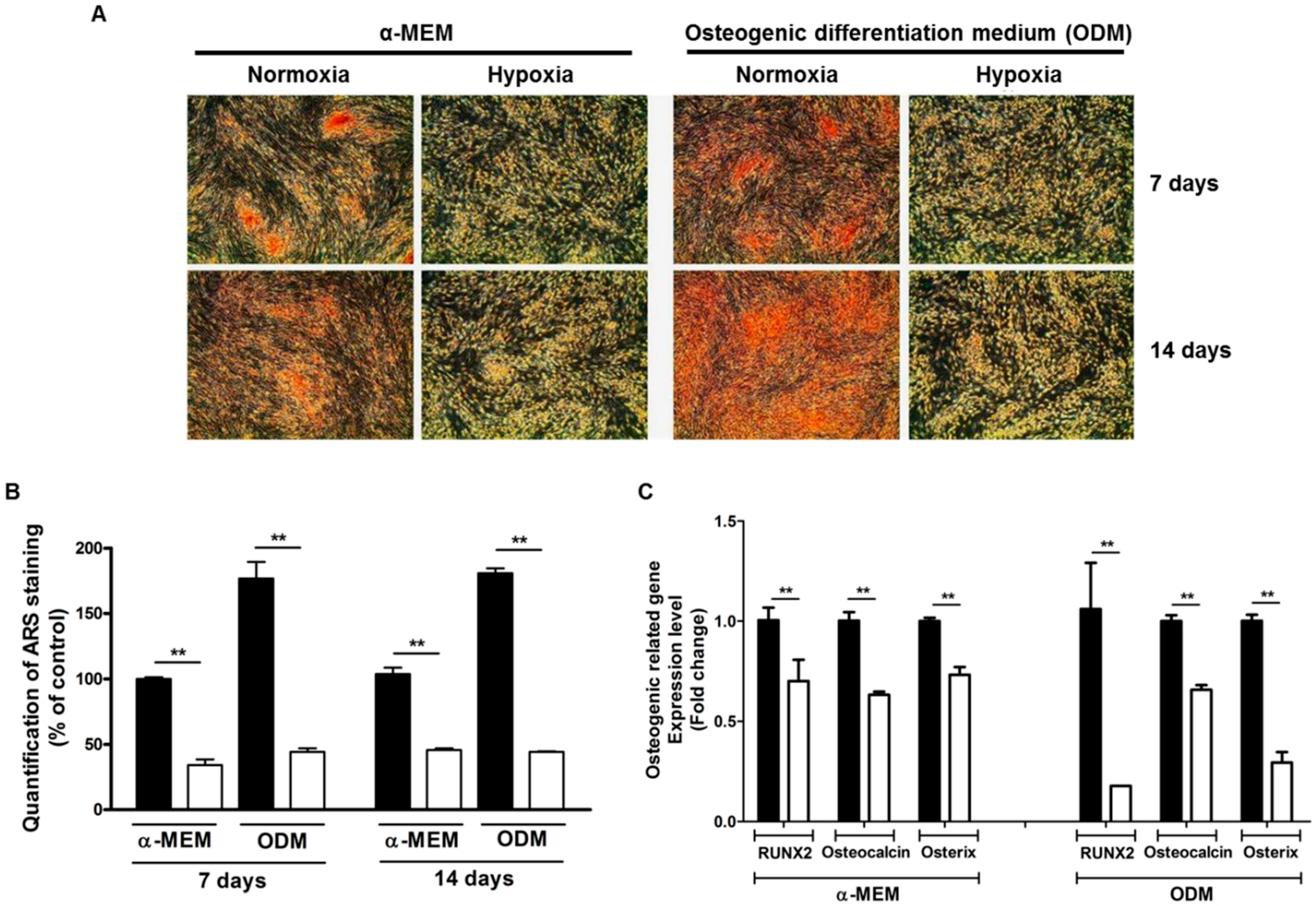 Ijms 17 01389 g001 1024
