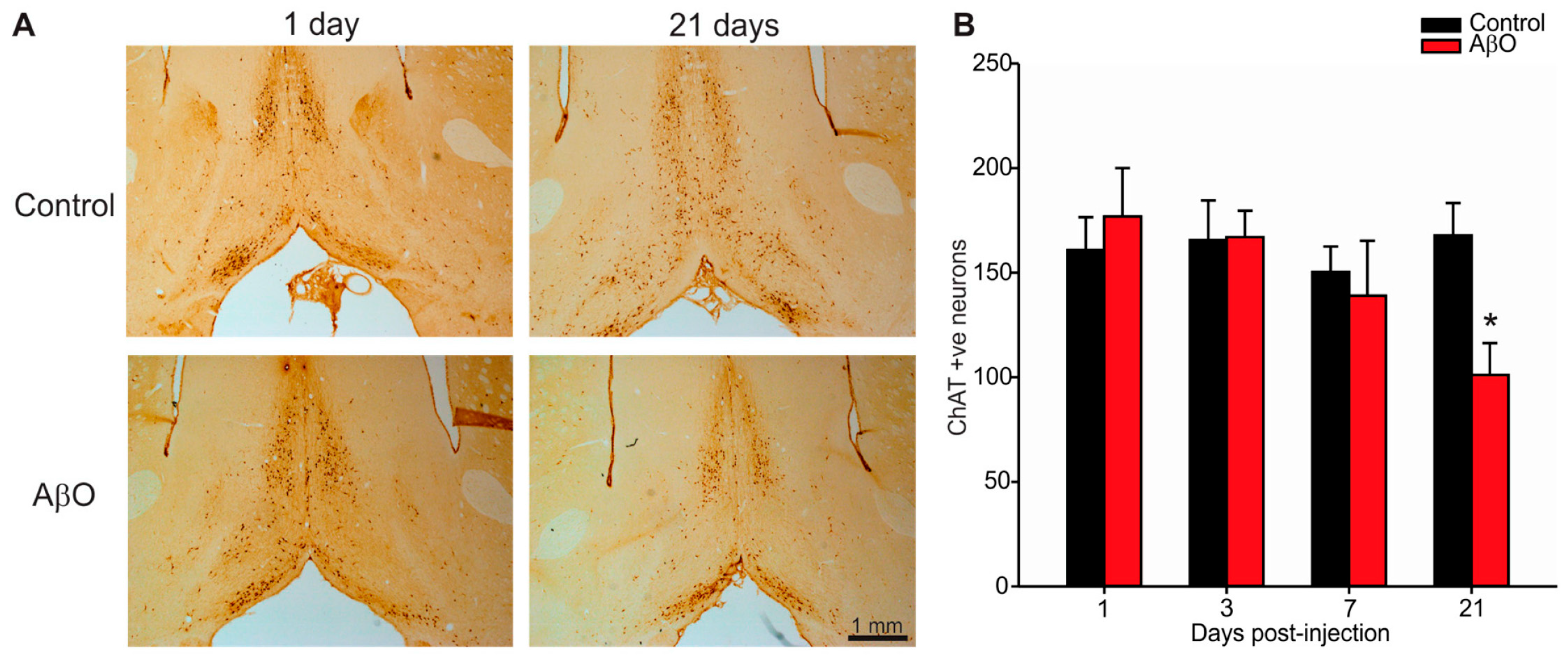 Ijms 17 01390 g003 1024