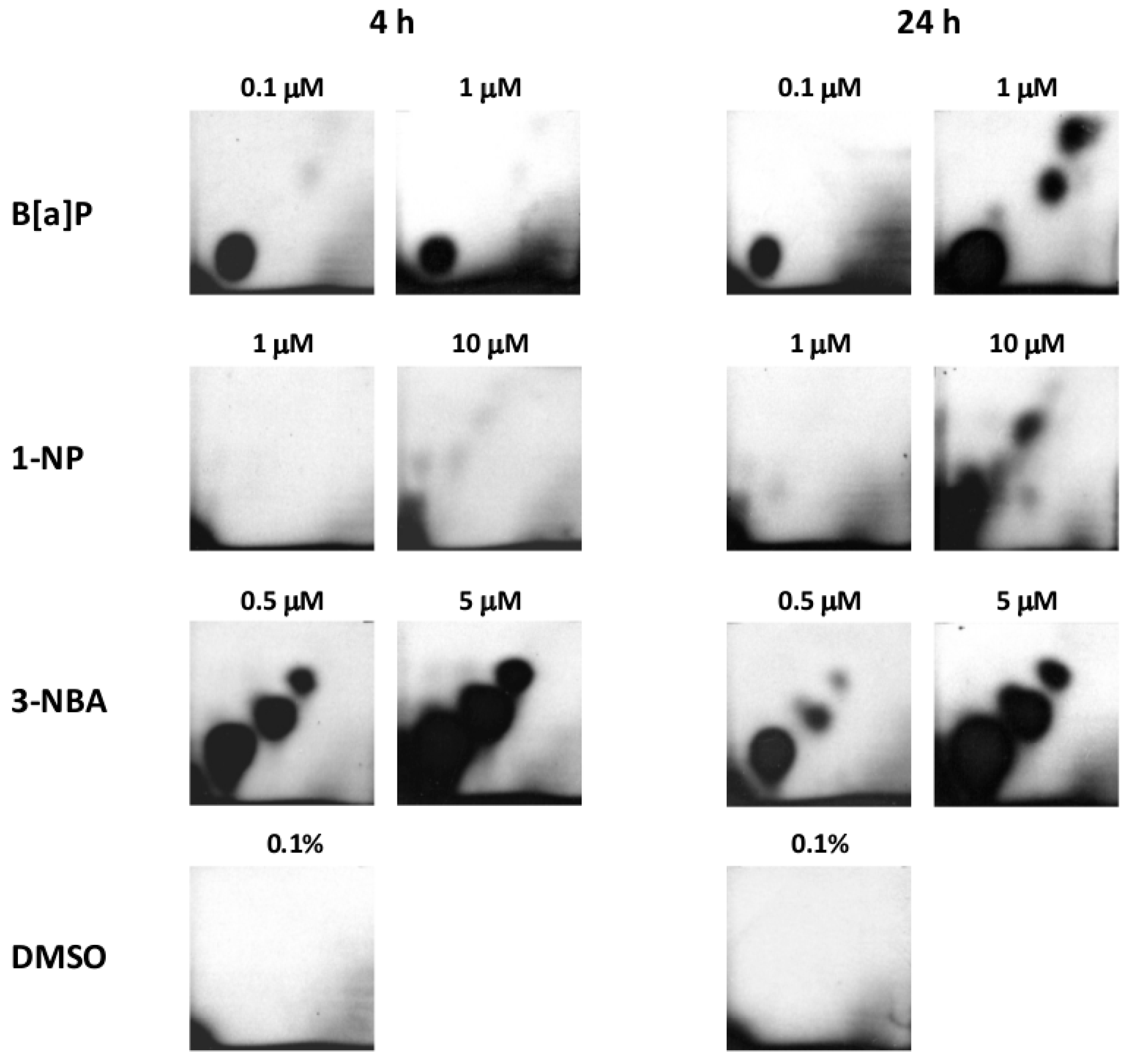 Ijms 17 01393 g001