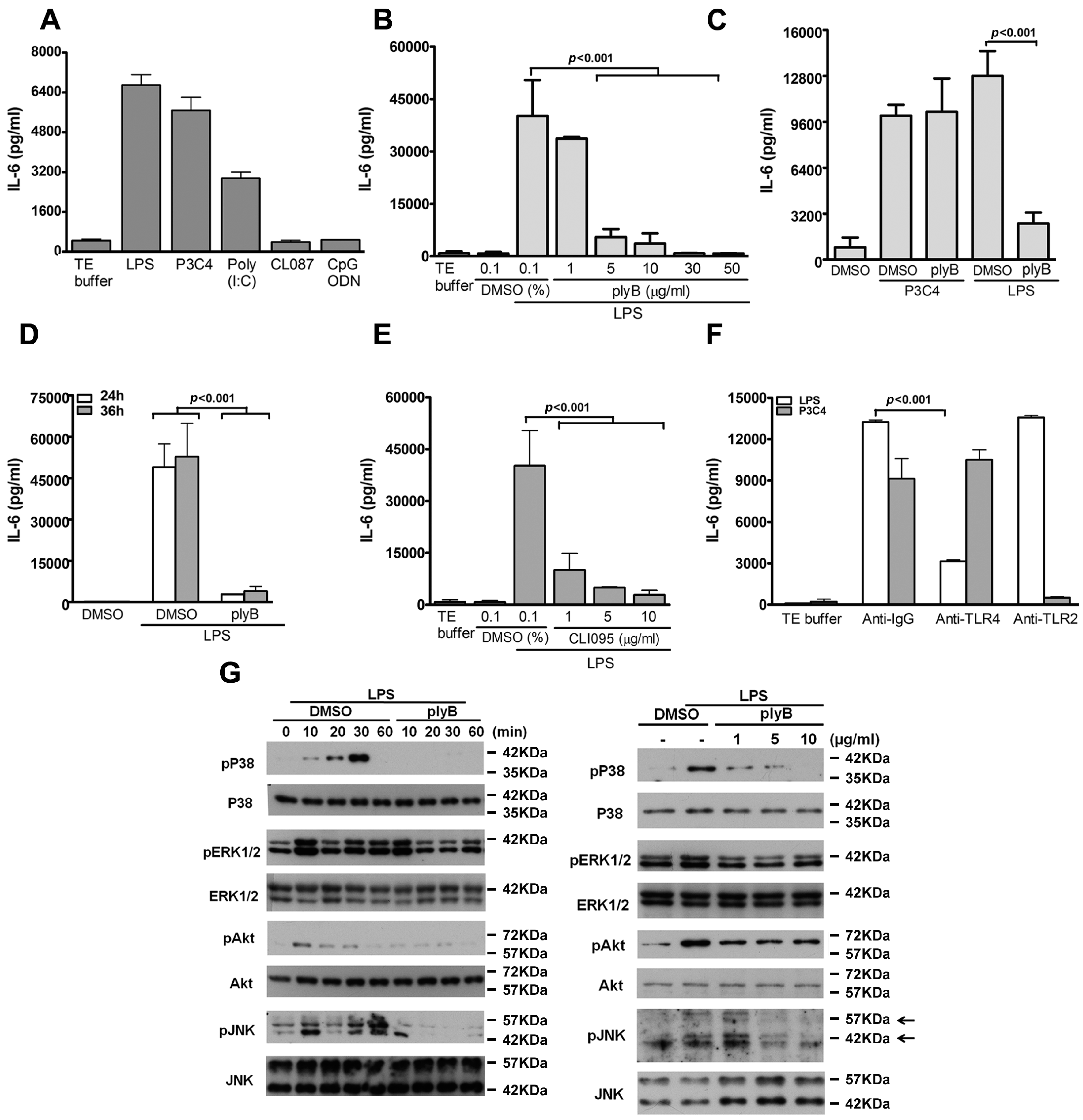 Ijms 17 01394 g001
