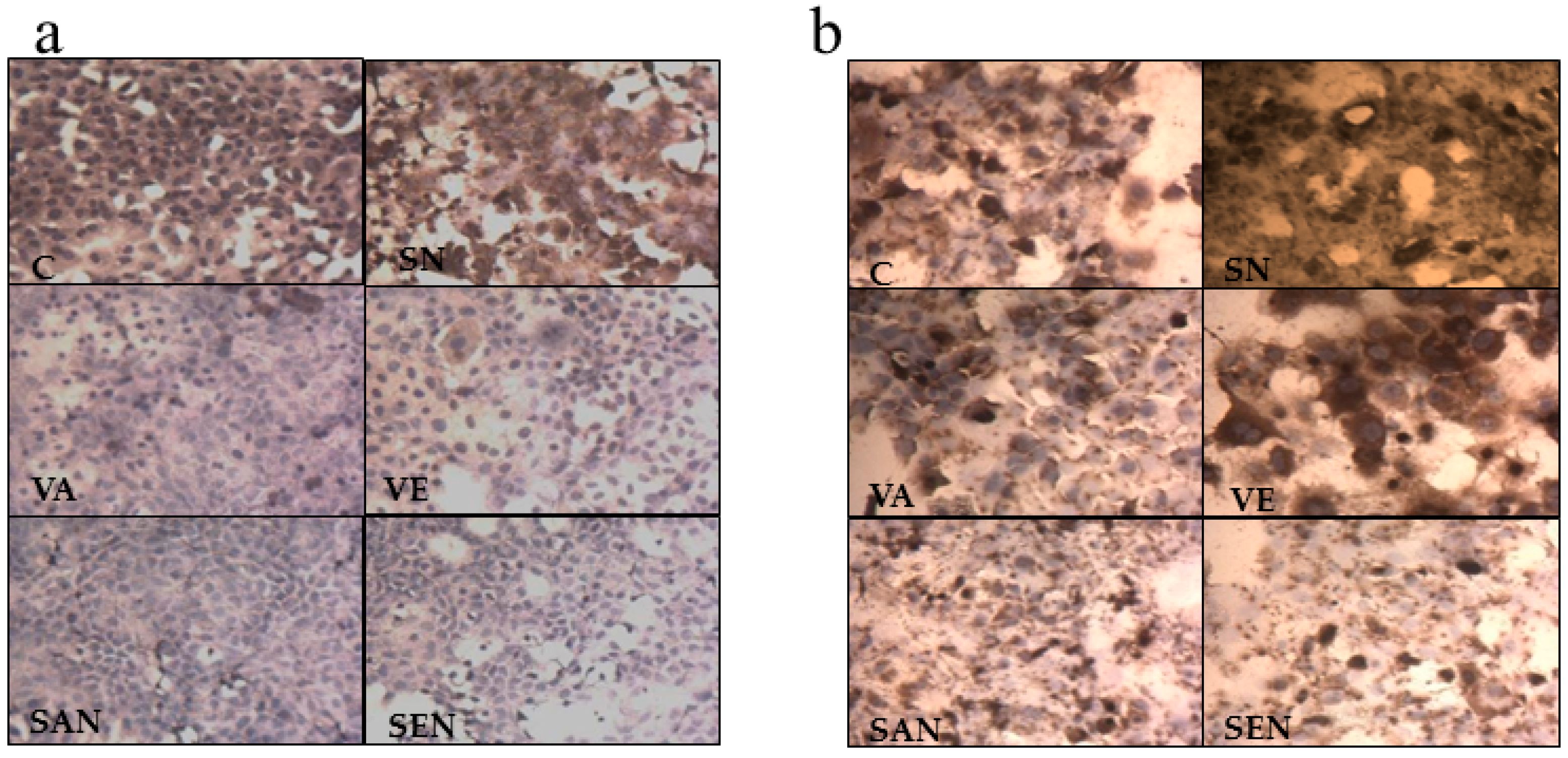 Ijms 17 01406 g004a 1024