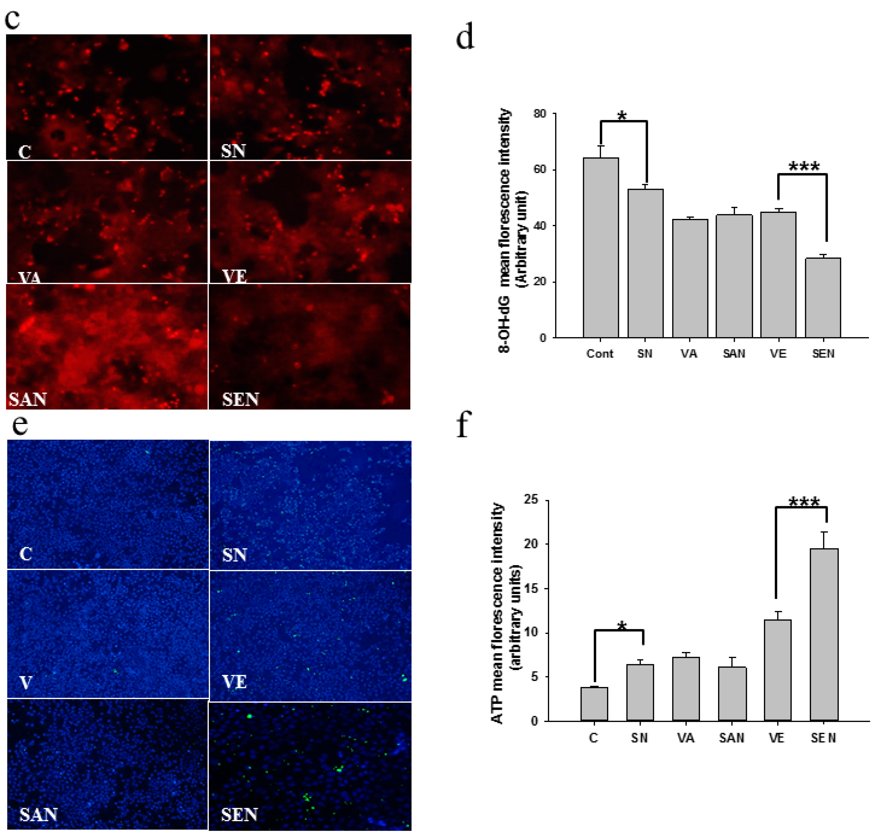 Ijms 17 01406 g004b 1024