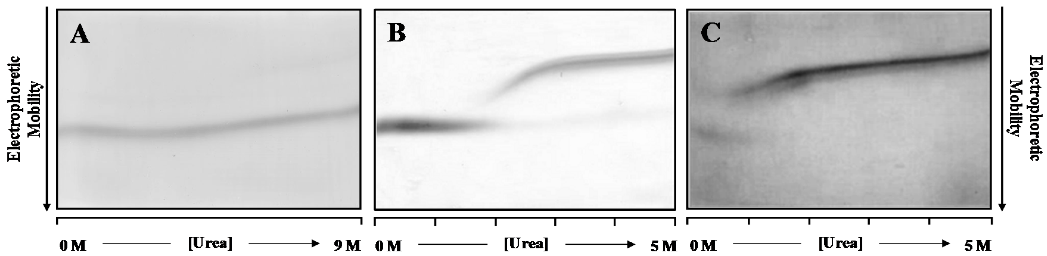 Ijms 17 01428 g001 1024