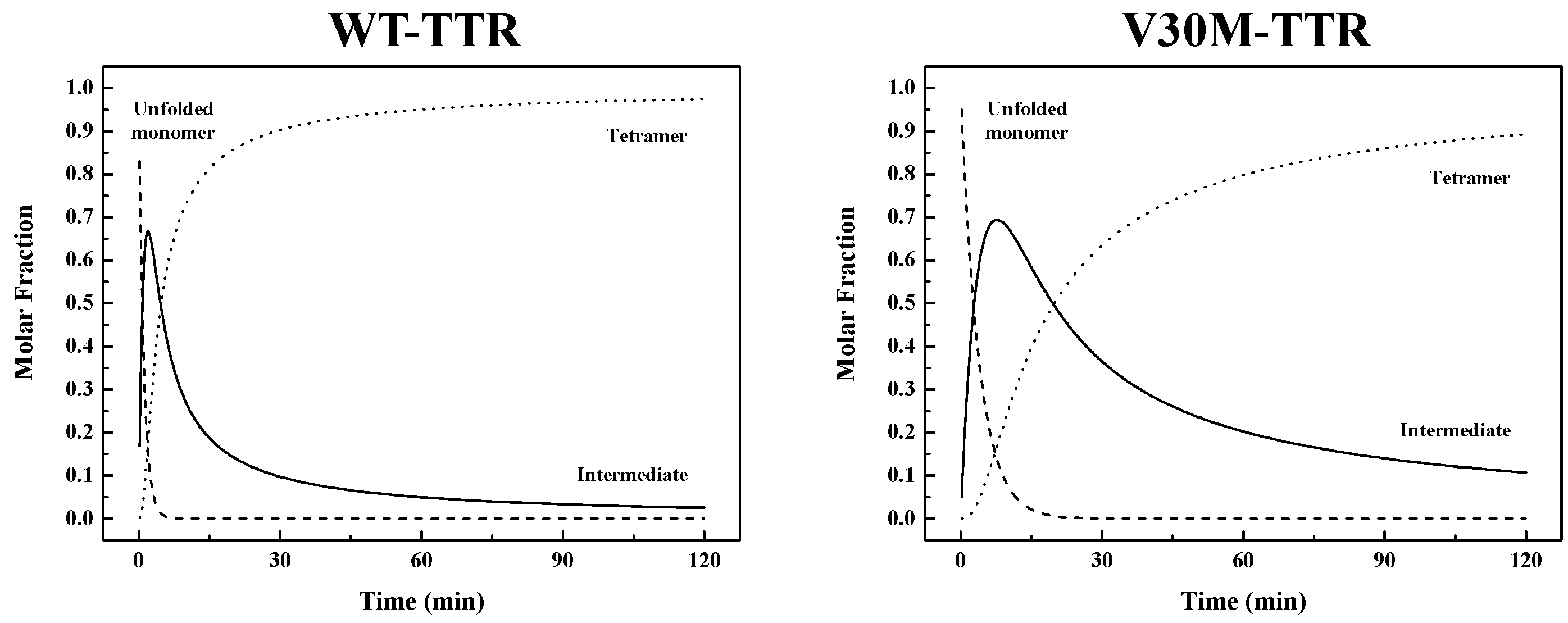 Ijms 17 01428 g007 1024