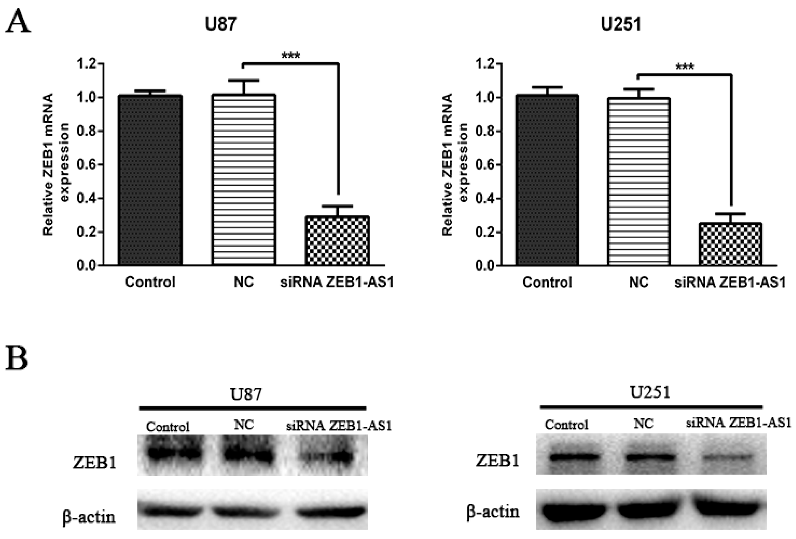 Ijms 17 01431 g005 1024
