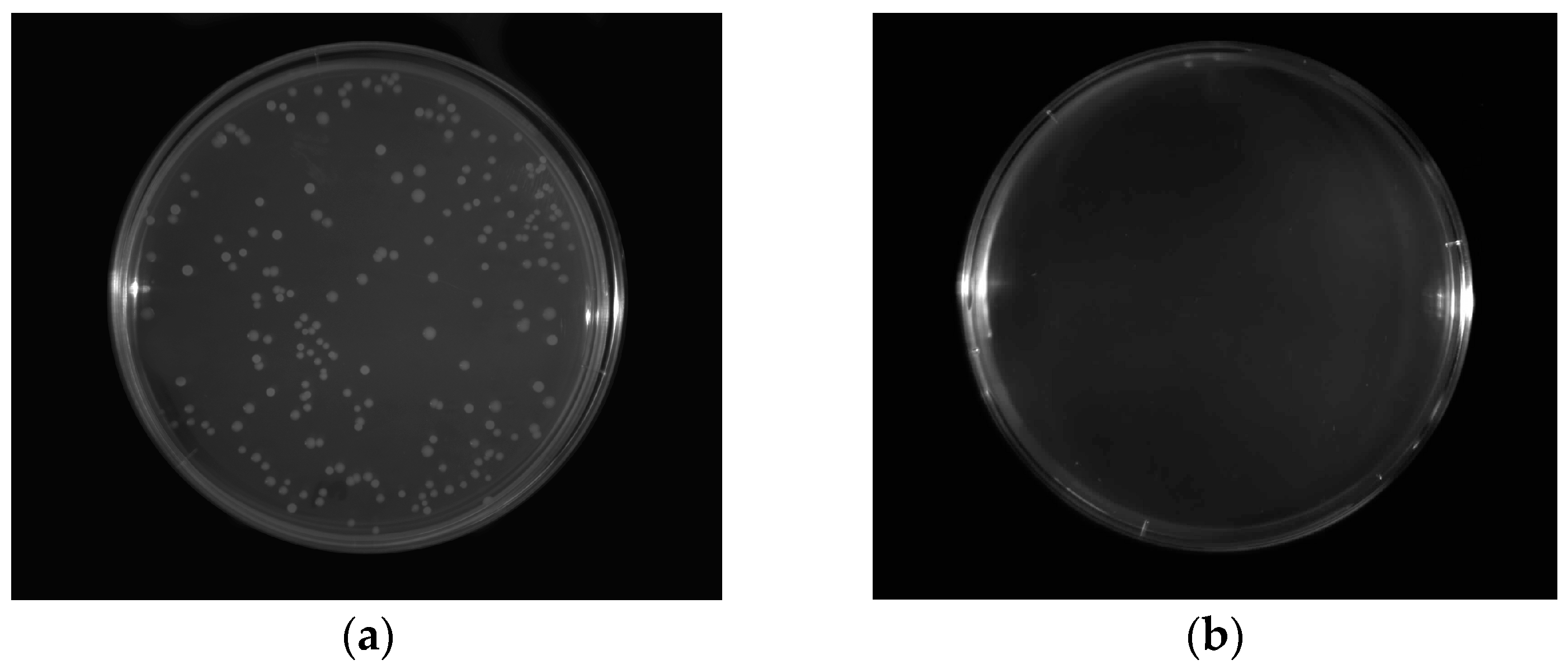 Ijms 17 01436 g003 1024